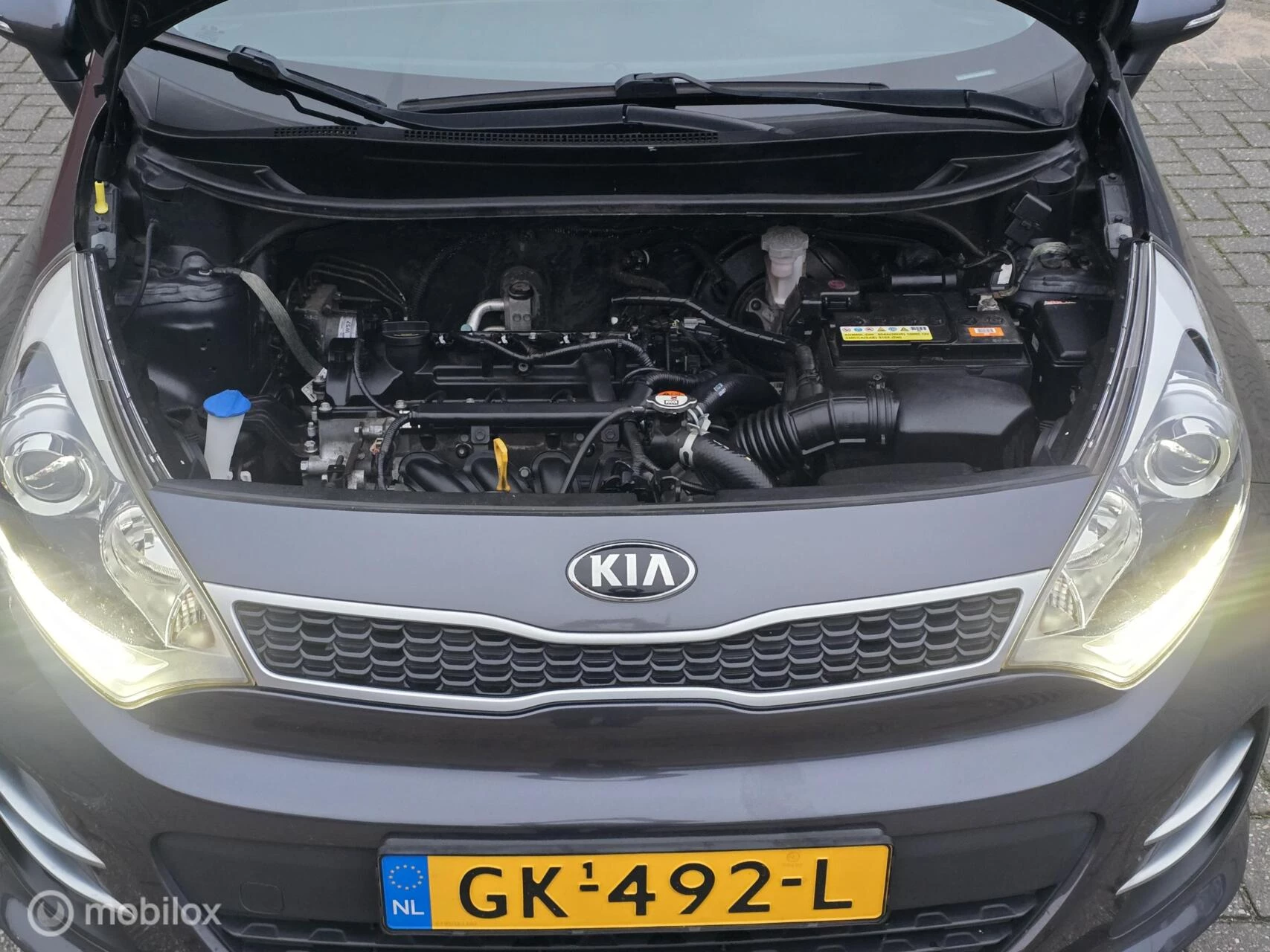 Hoofdafbeelding Kia Rio