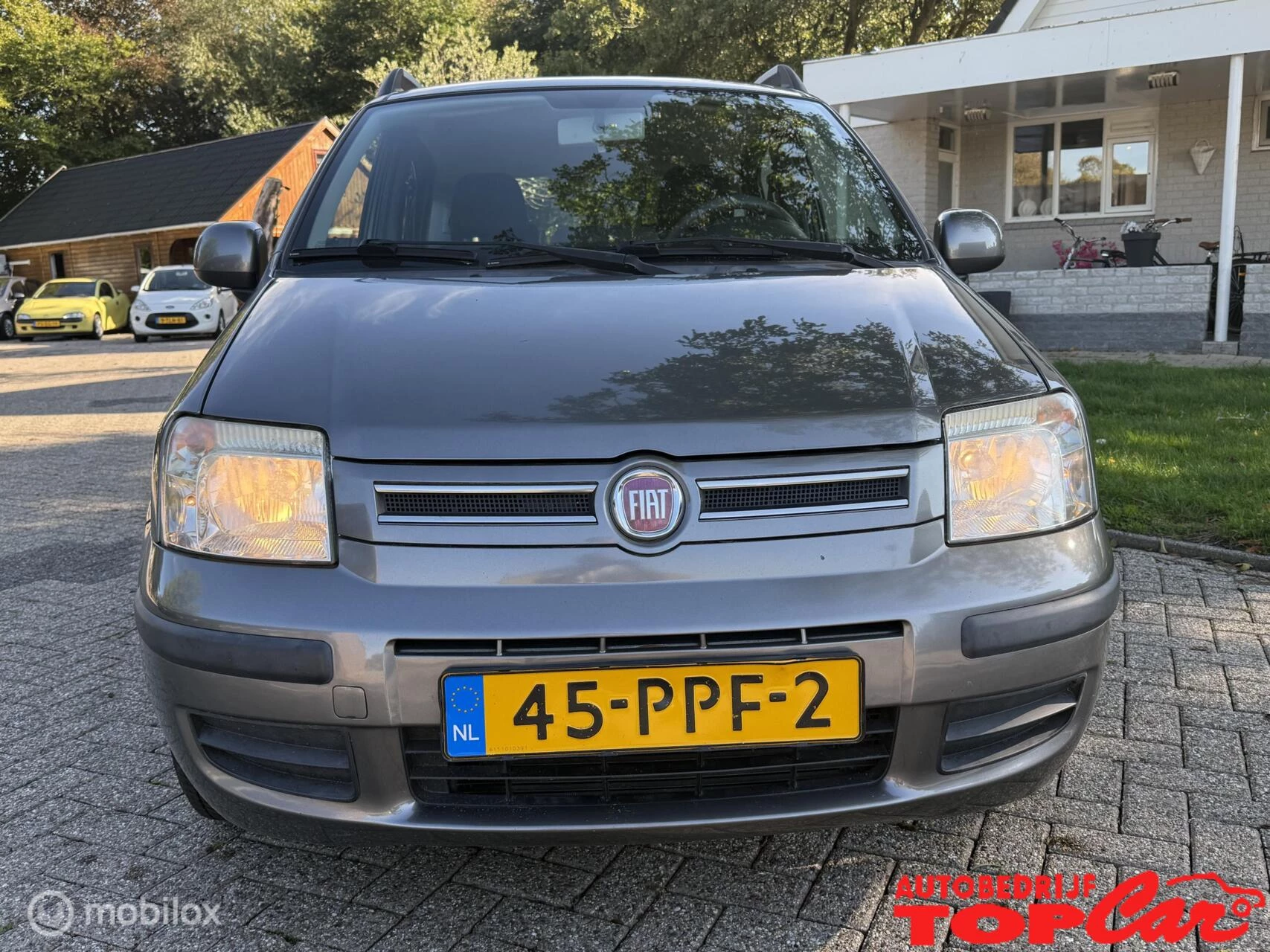 Hoofdafbeelding Fiat Panda