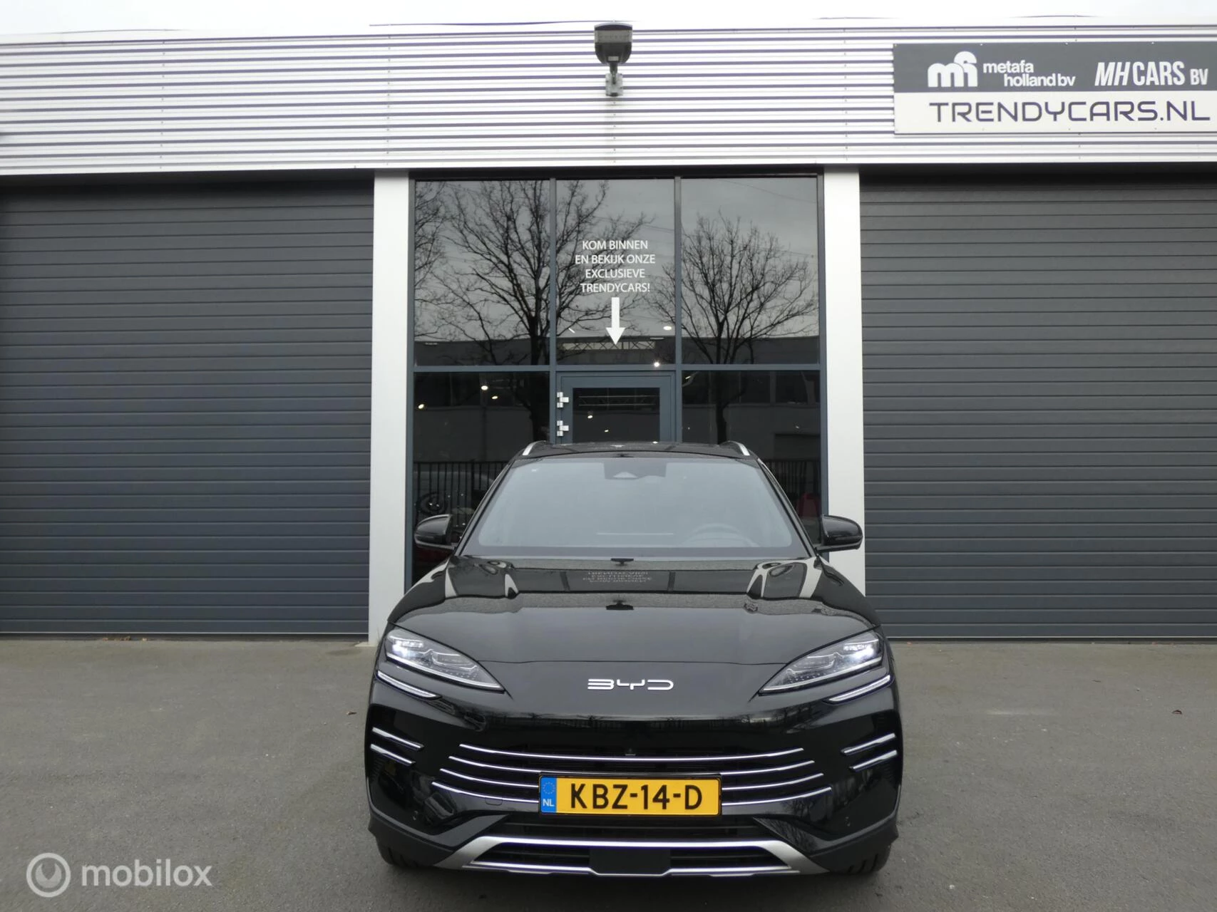 Hoofdafbeelding BYD SEAL U