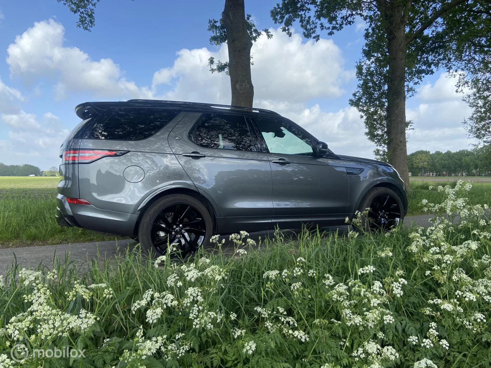 Hoofdafbeelding Land Rover Discovery