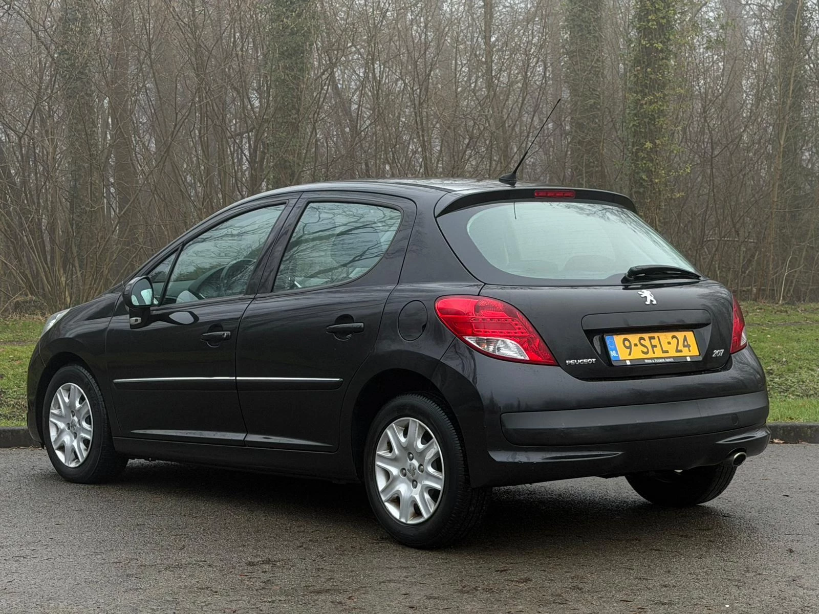 Hoofdafbeelding Peugeot 207