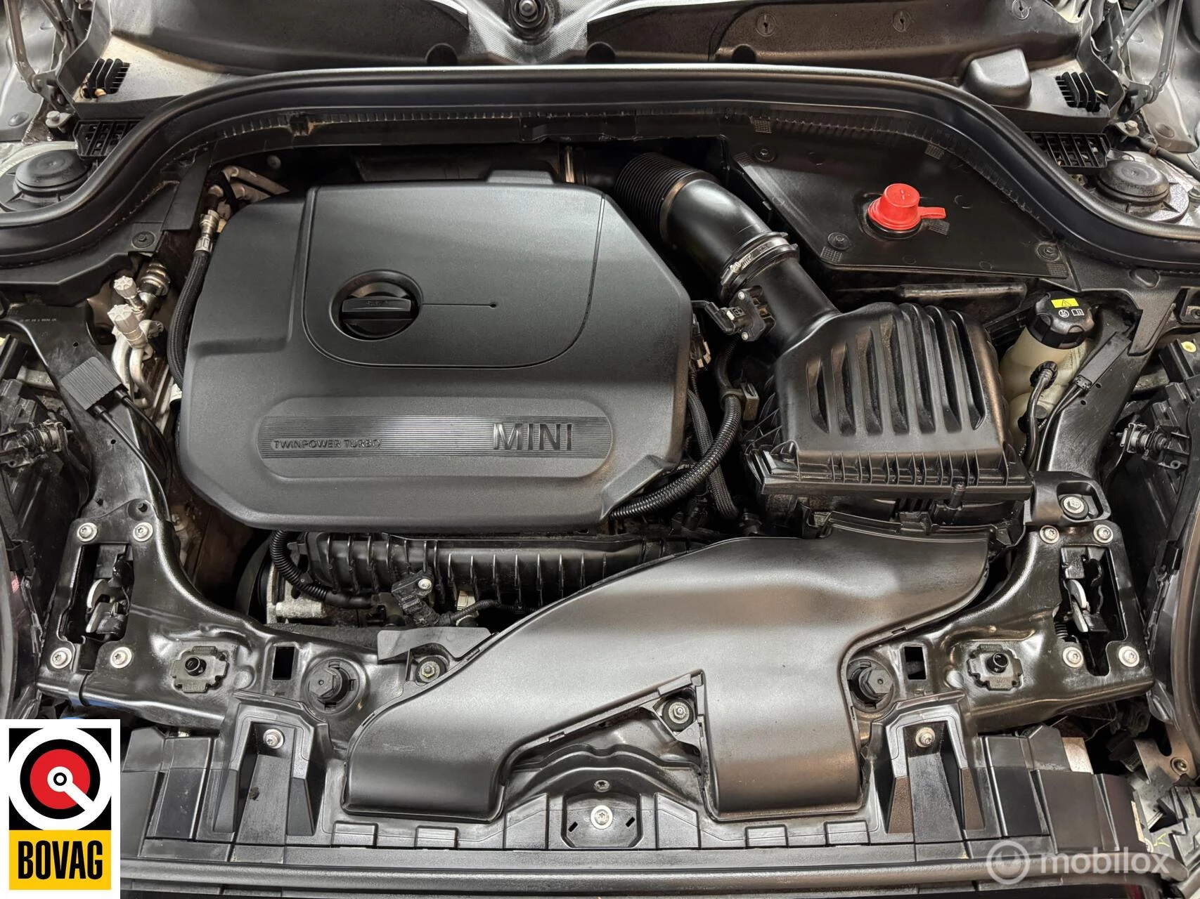 Hoofdafbeelding MINI Cooper