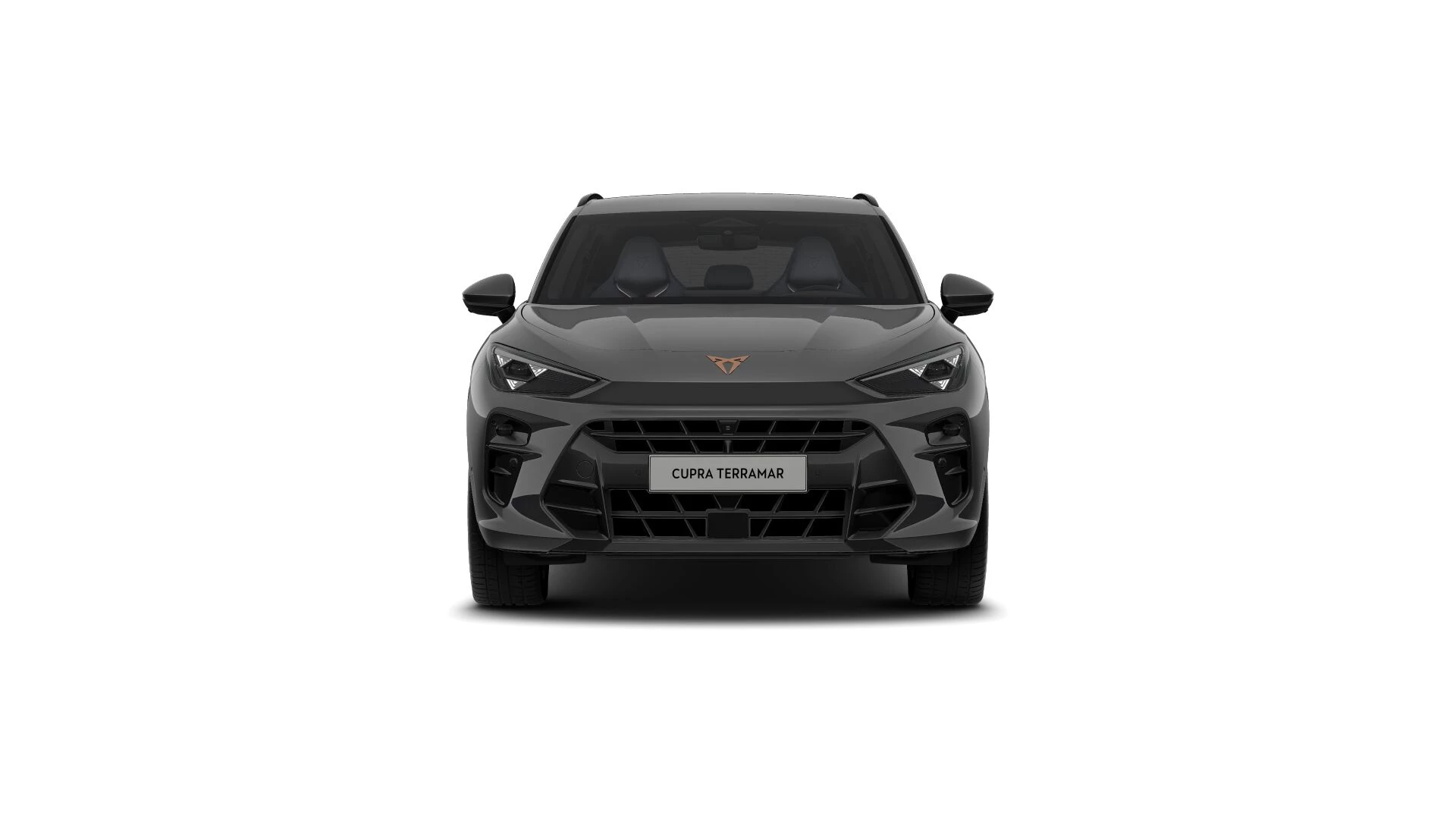 Hoofdafbeelding CUPRA Terramar
