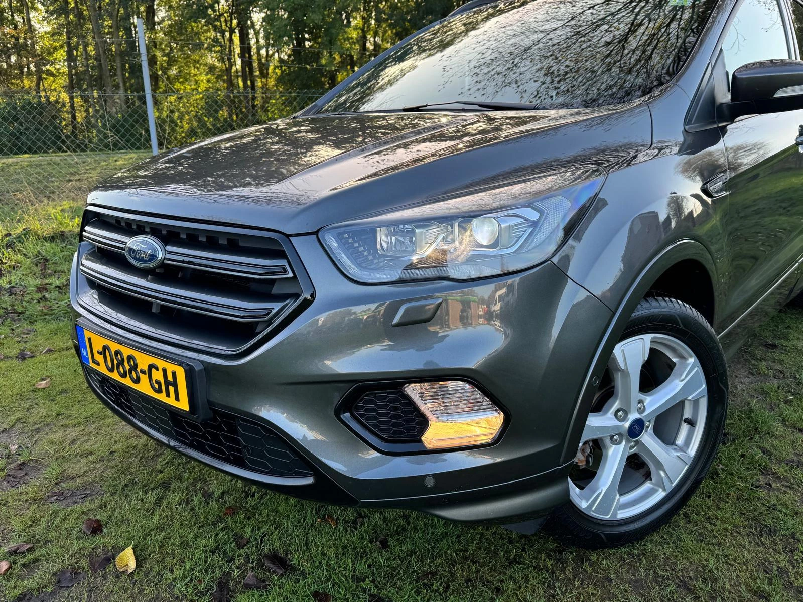 Hoofdafbeelding Ford Kuga