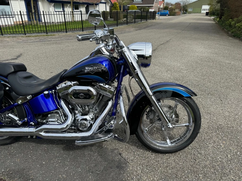 Hoofdafbeelding Harley-Davidson Softail