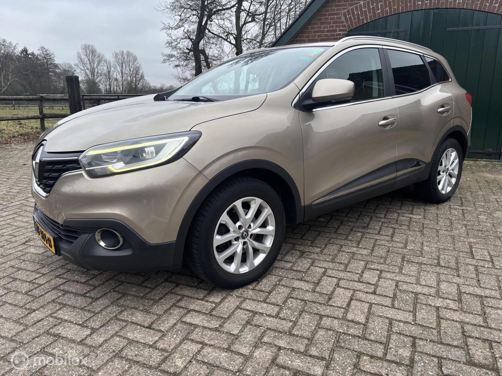 Hoofdafbeelding Renault Kadjar