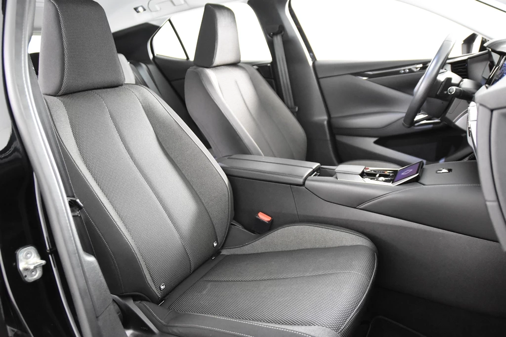 Hoofdafbeelding DS DS 4