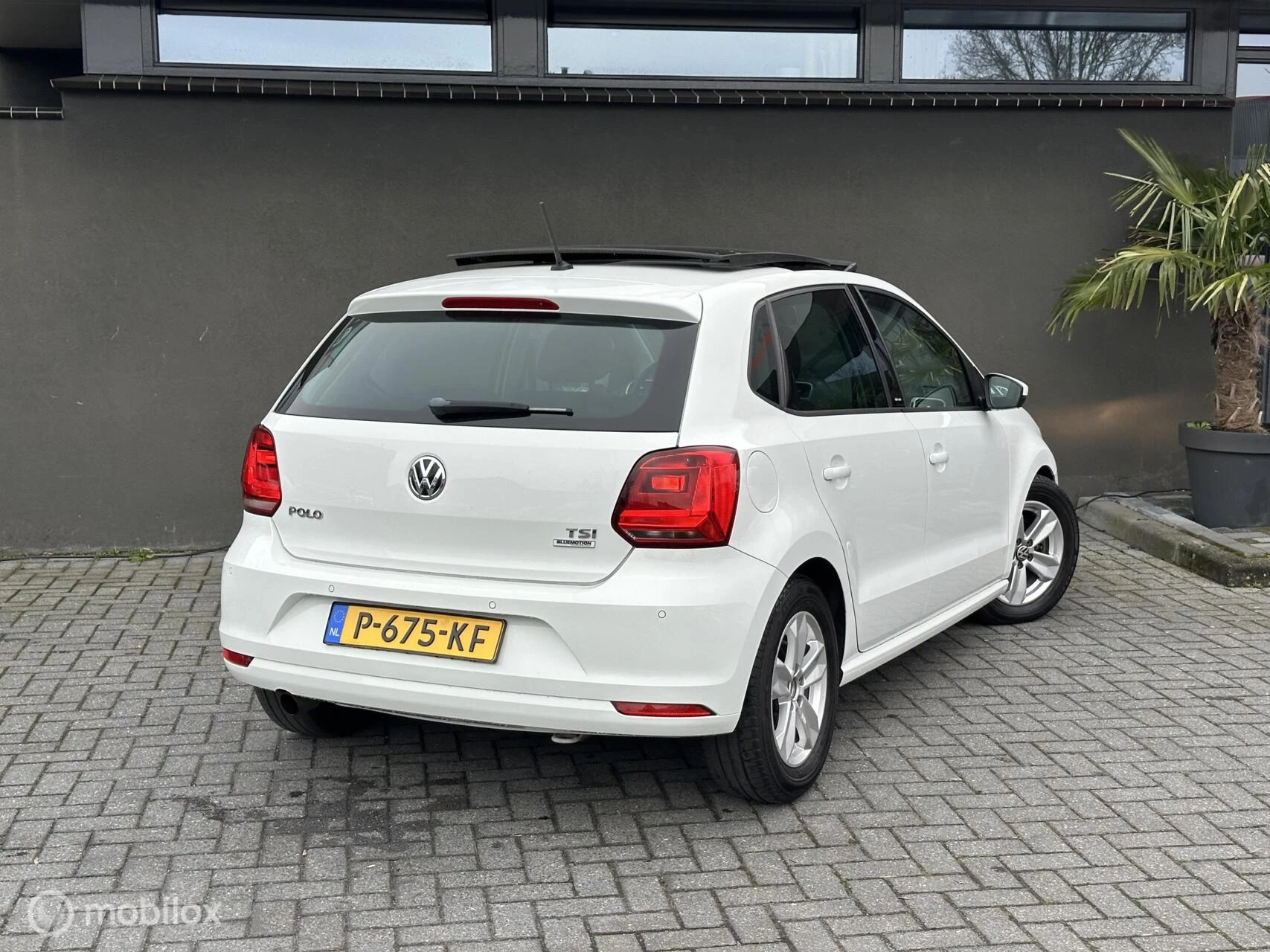 Hoofdafbeelding Volkswagen Polo