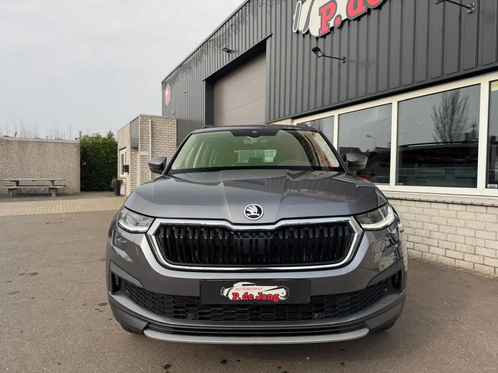 Hoofdafbeelding Škoda Kodiaq