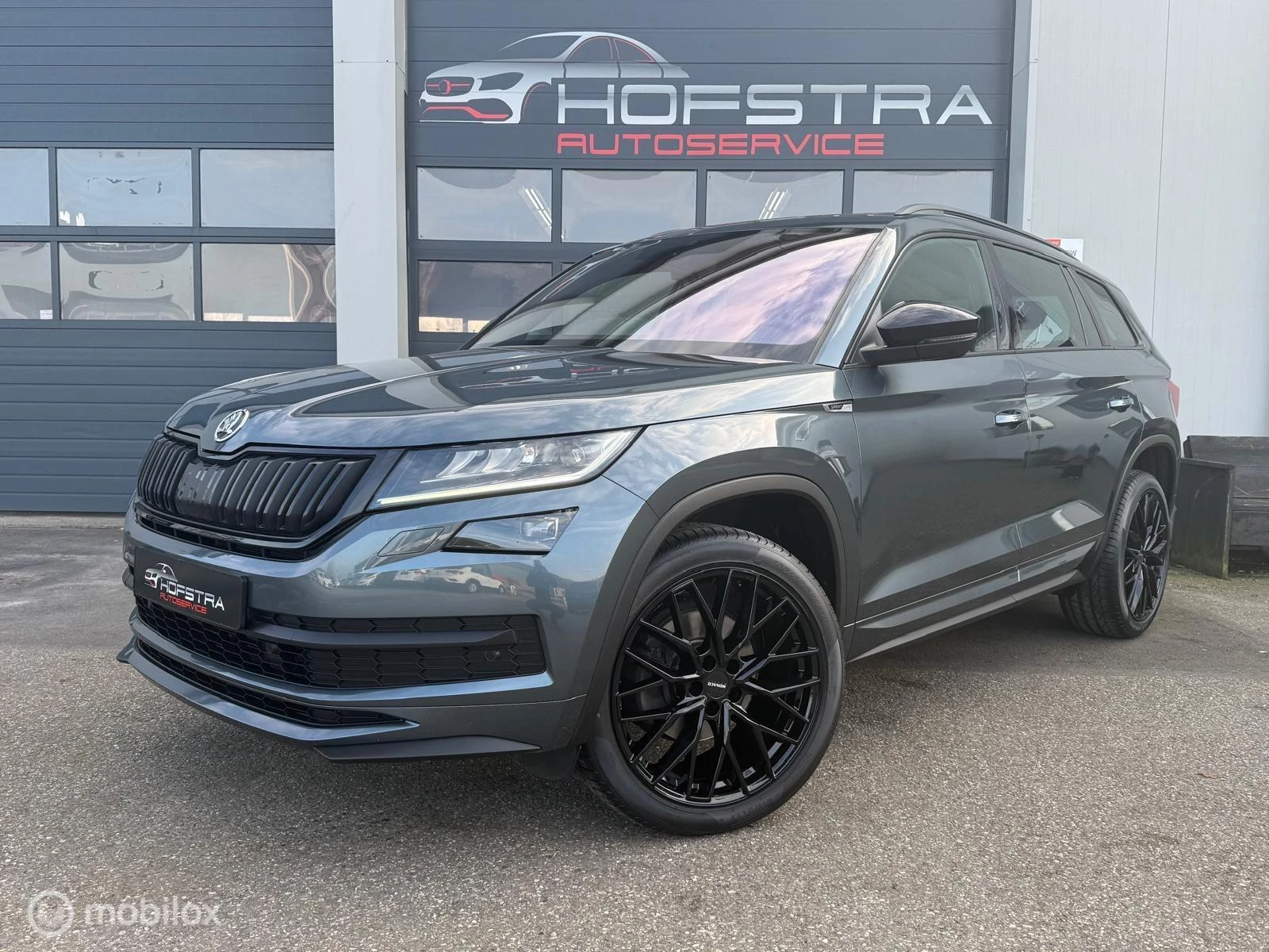 Hoofdafbeelding Škoda Kodiaq