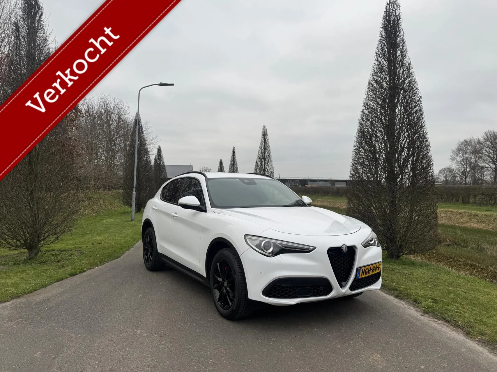Hoofdafbeelding Alfa Romeo Stelvio