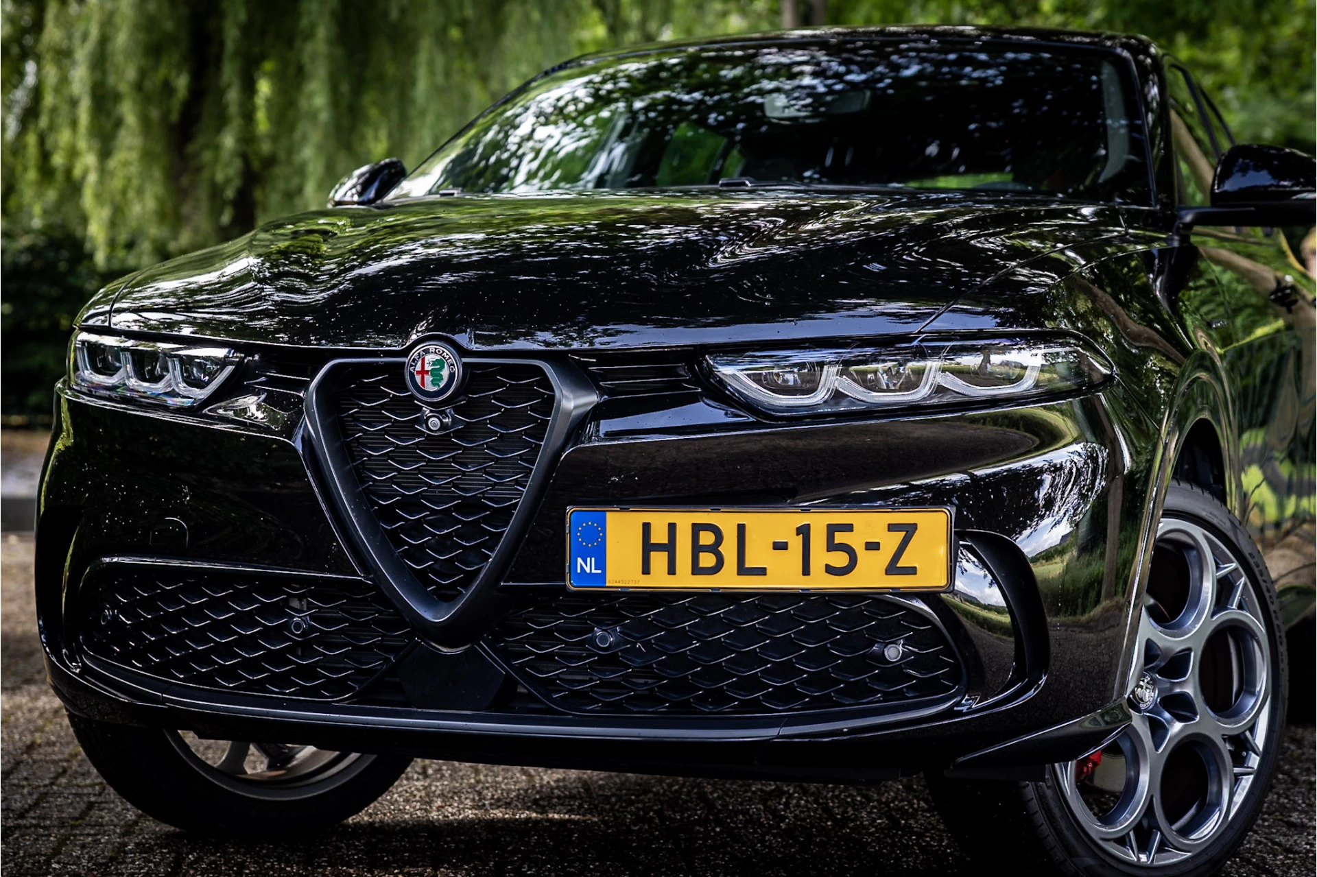 Hoofdafbeelding Alfa Romeo Tonale