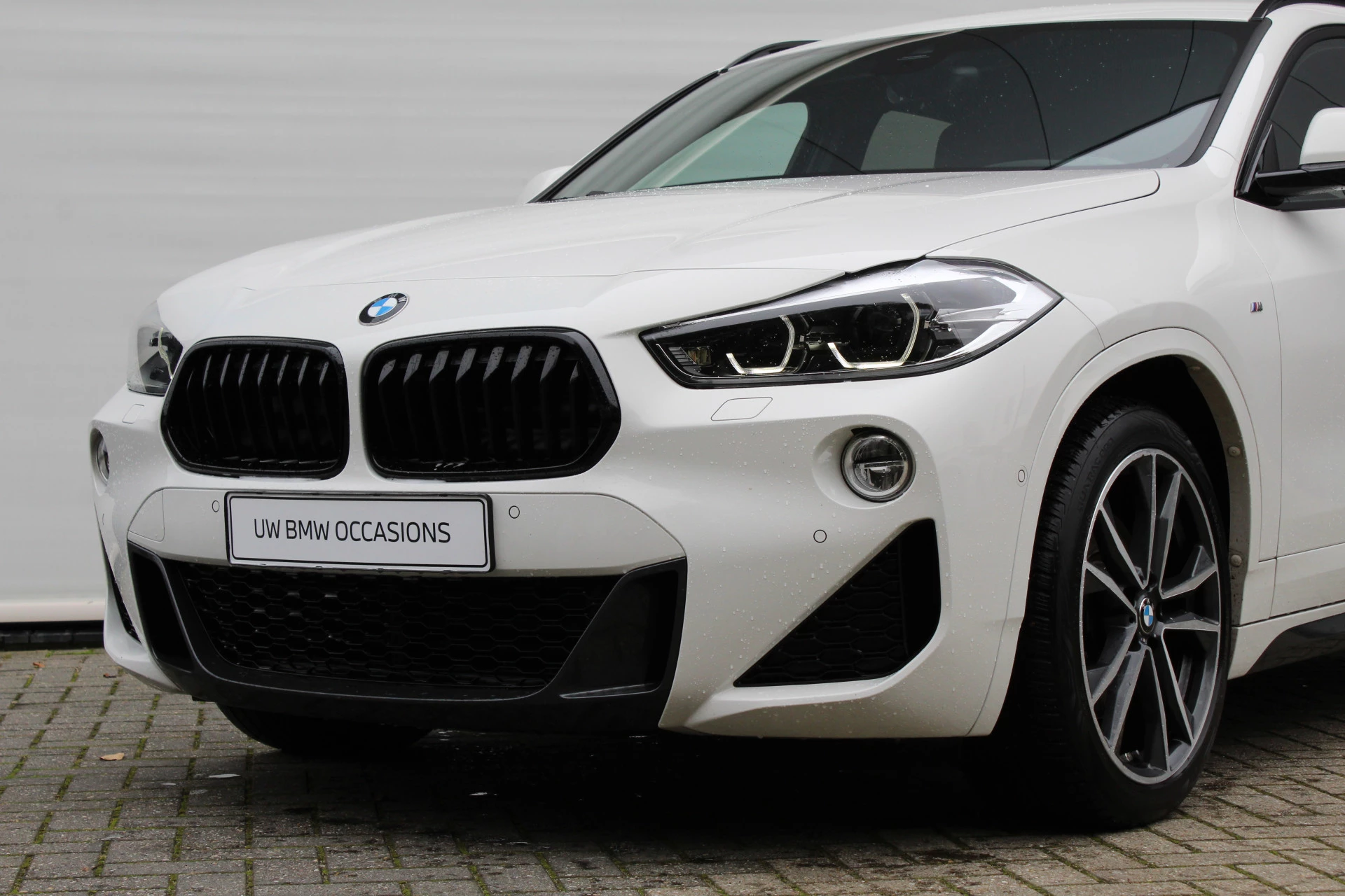 Hoofdafbeelding BMW X2