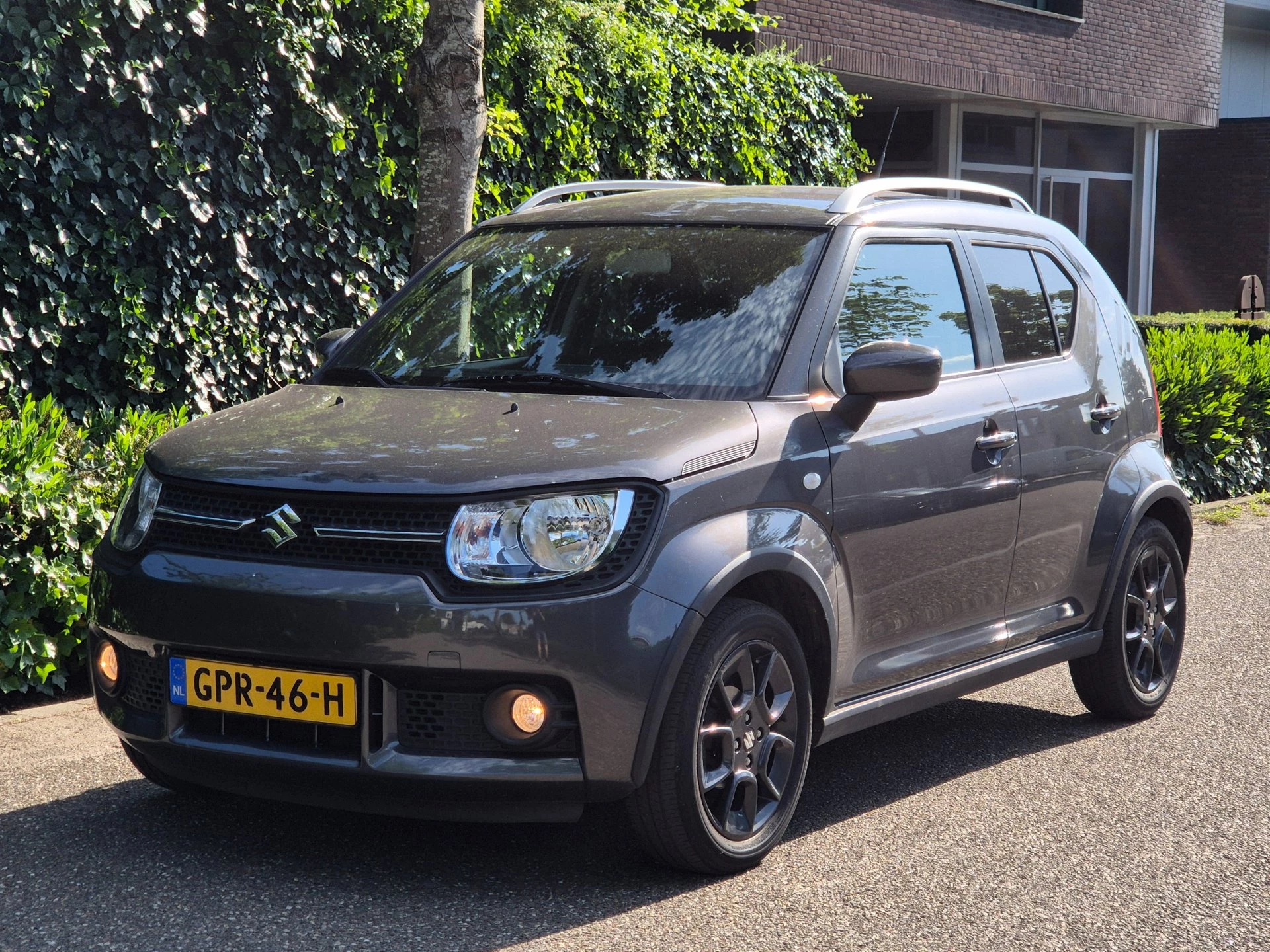Hoofdafbeelding Suzuki Ignis