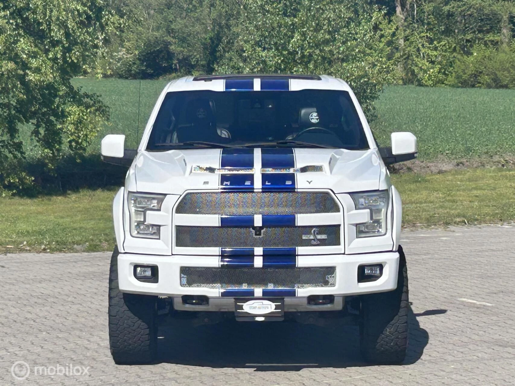 Hoofdafbeelding Ford F-150