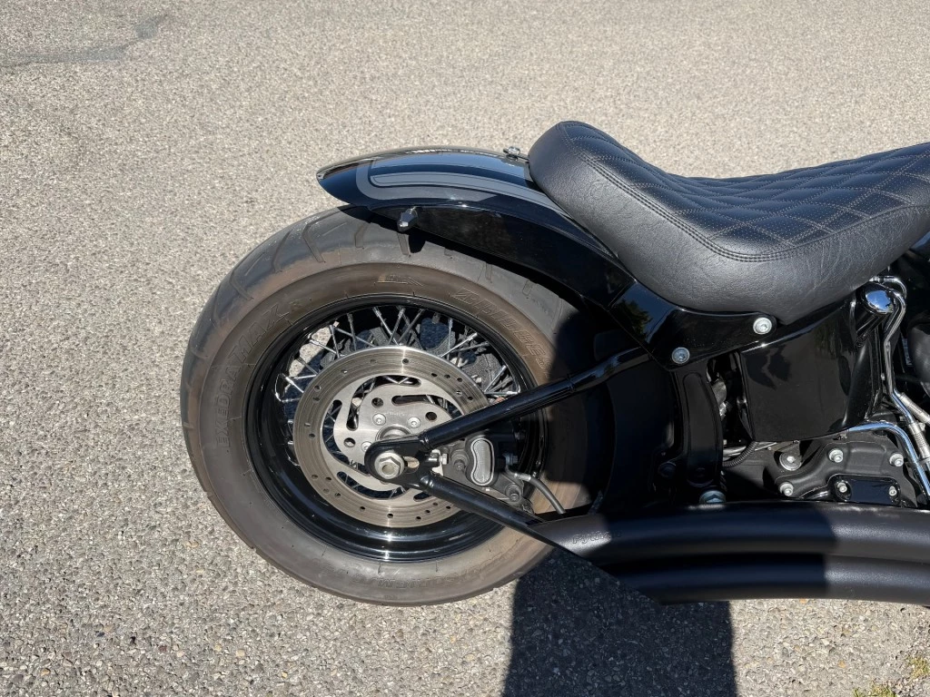 Hoofdafbeelding Harley-Davidson Softail