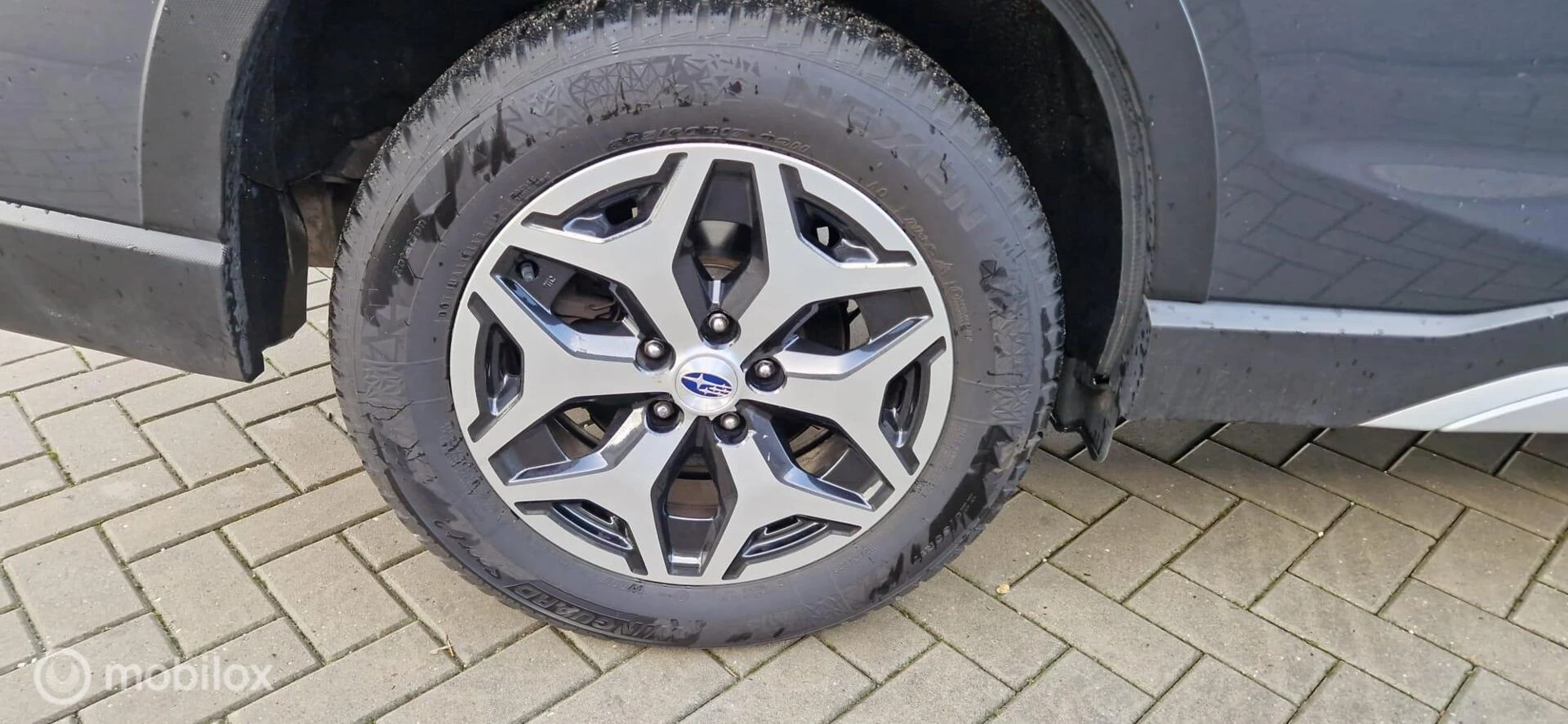 Hoofdafbeelding Subaru Forester