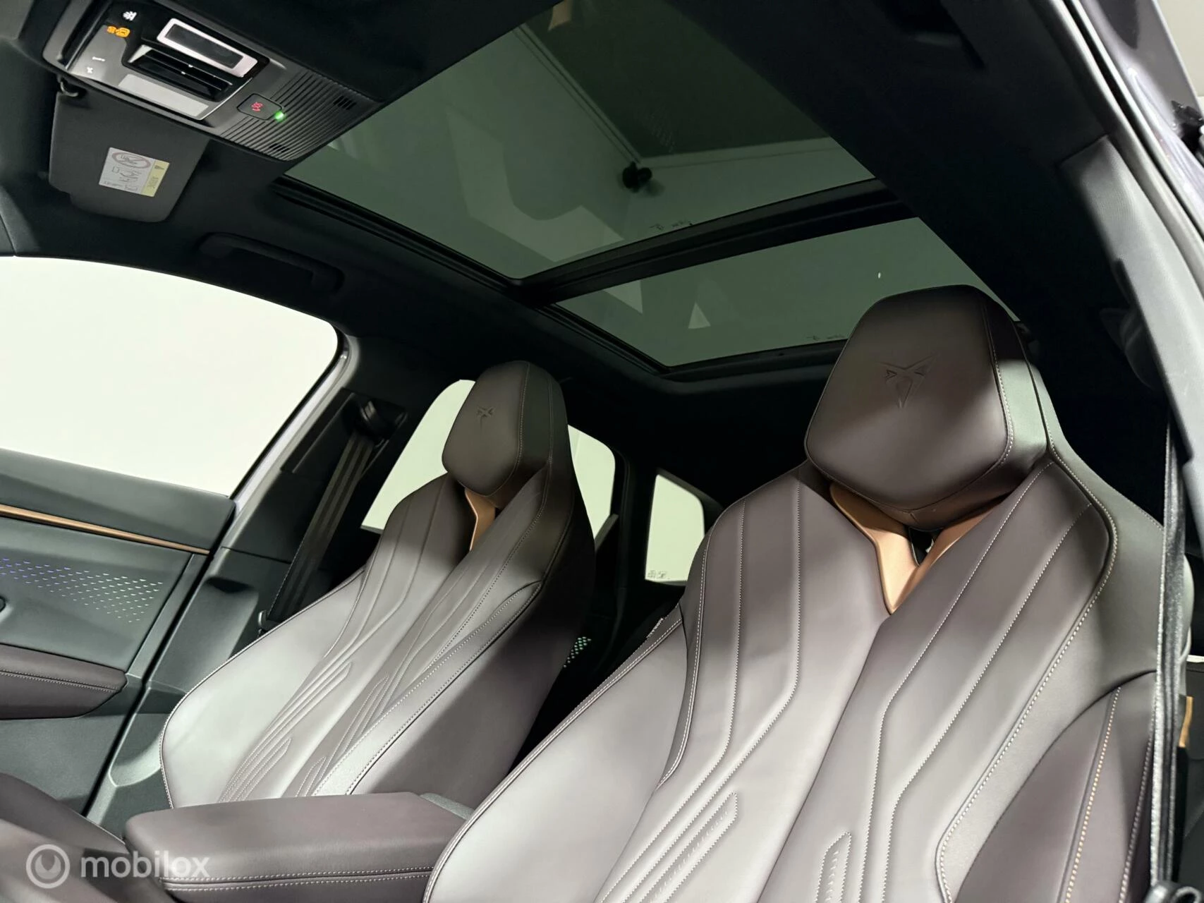 Hoofdafbeelding CUPRA Terramar