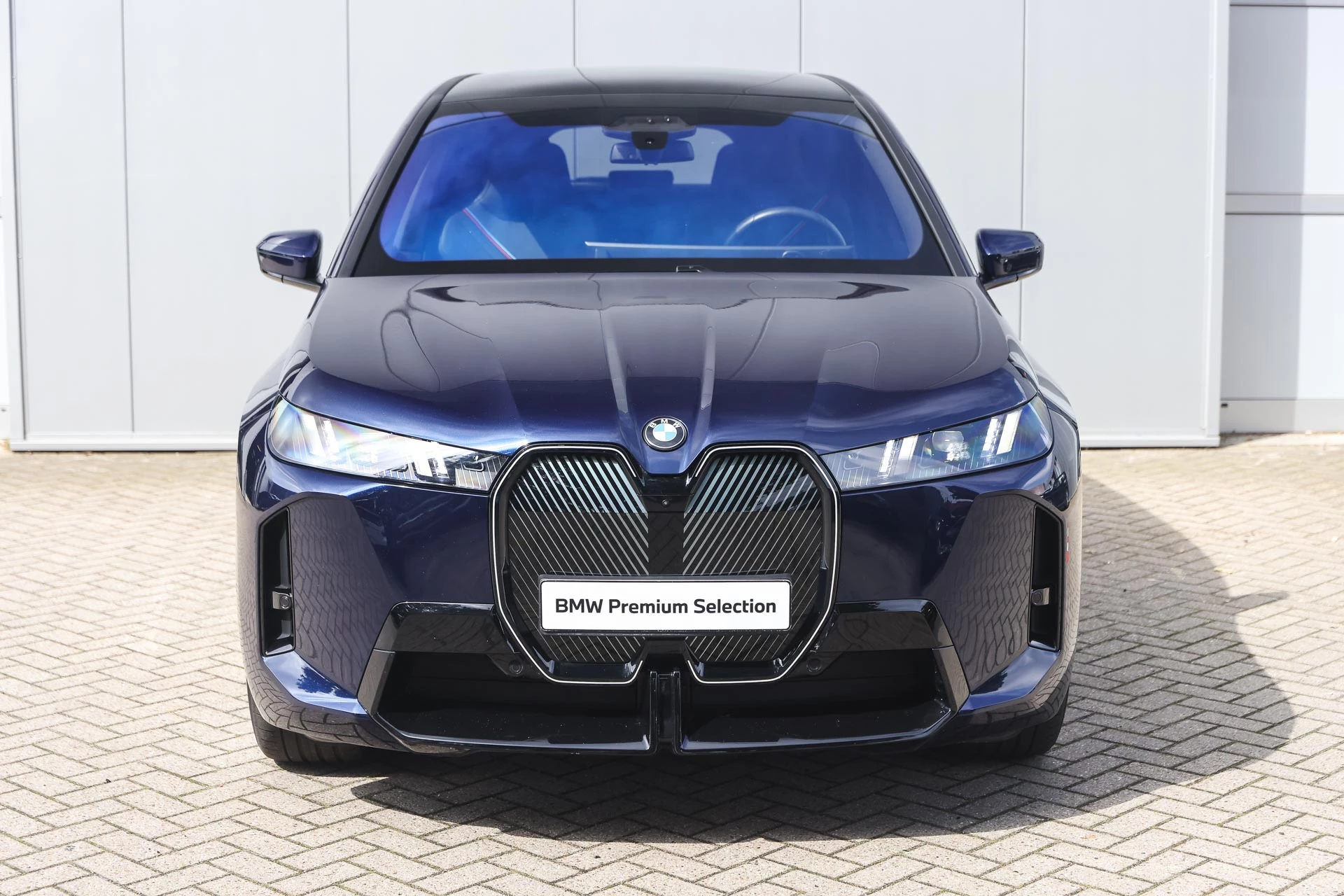 Hoofdafbeelding BMW iX