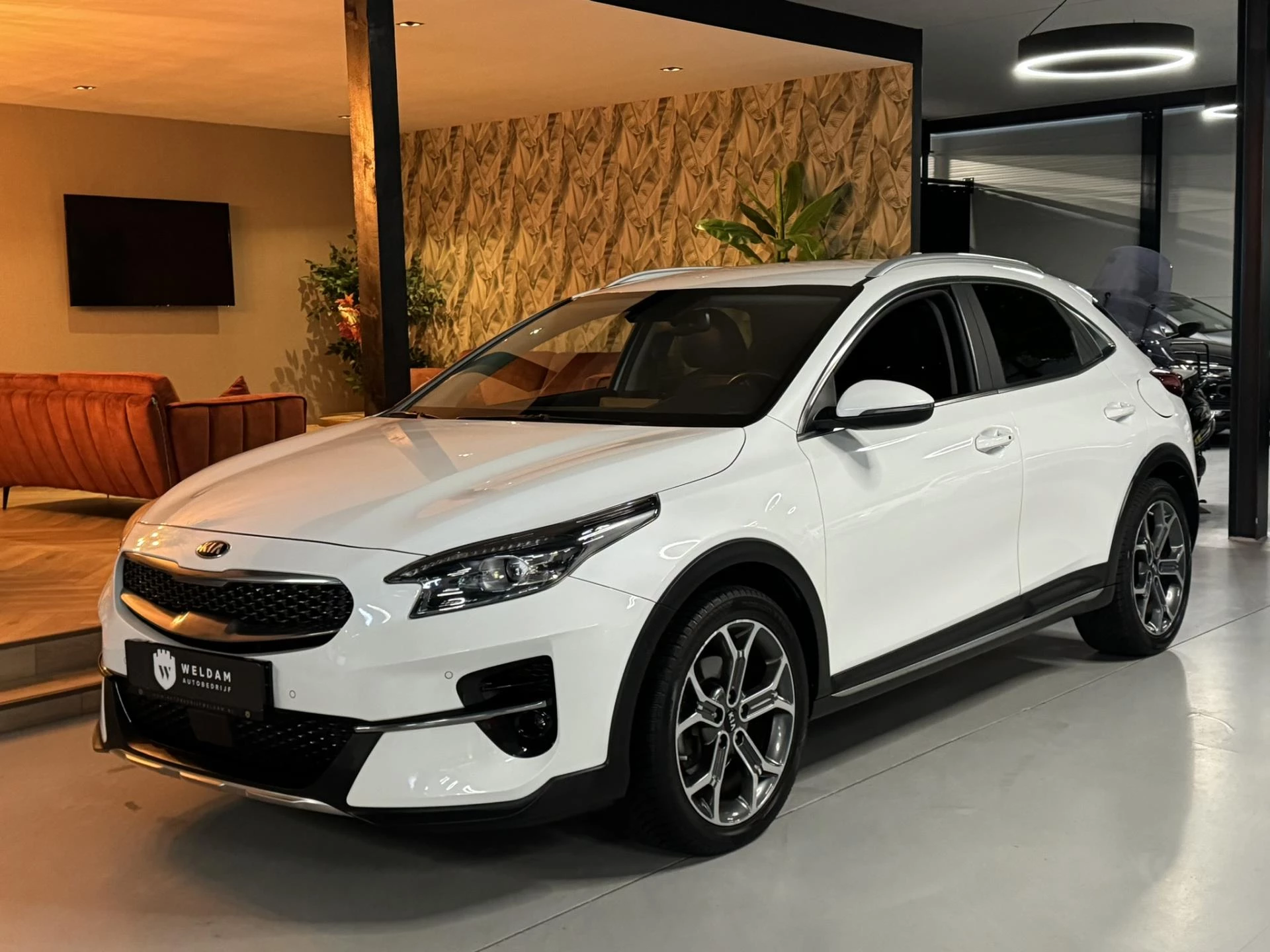 Hoofdafbeelding Kia XCeed