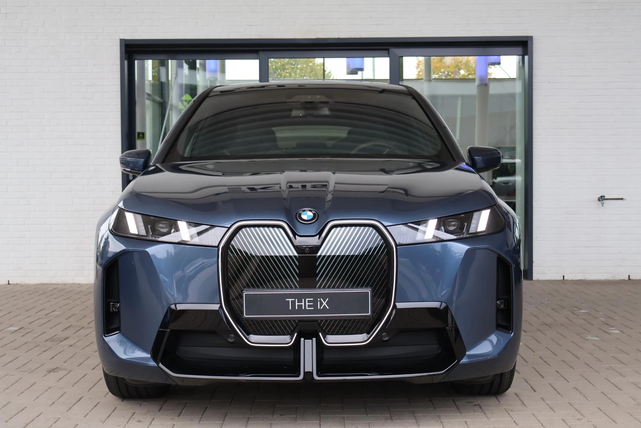 Hoofdafbeelding BMW iX