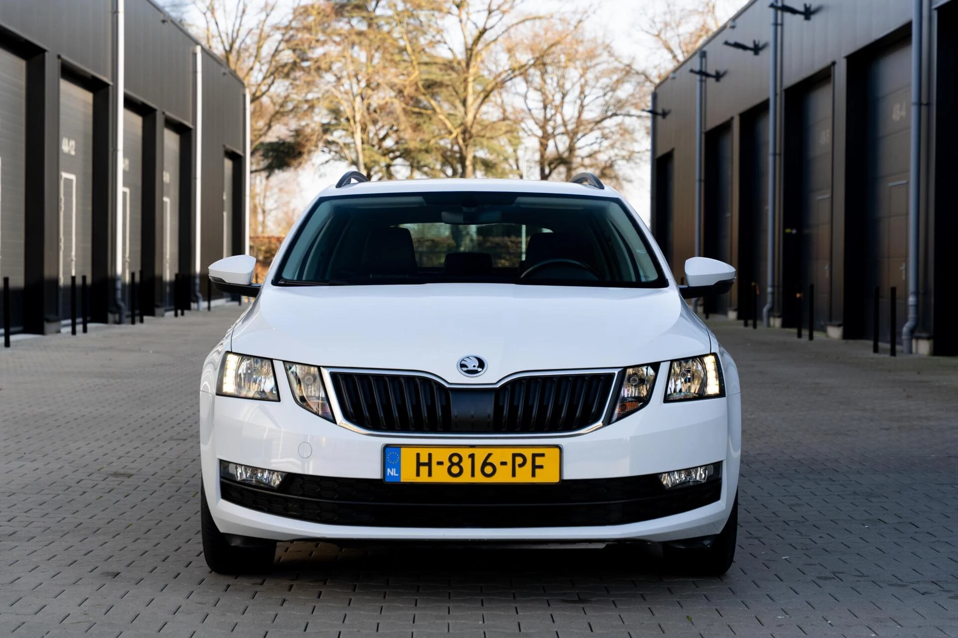 Hoofdafbeelding Škoda Octavia
