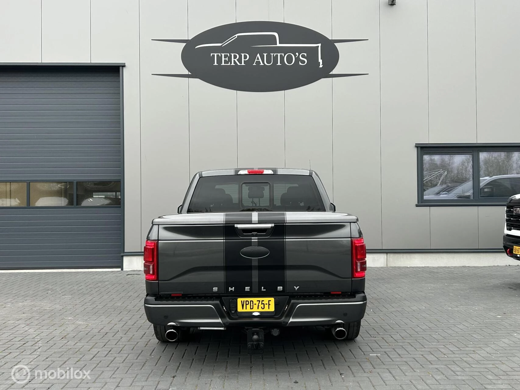 Hoofdafbeelding Ford F-150