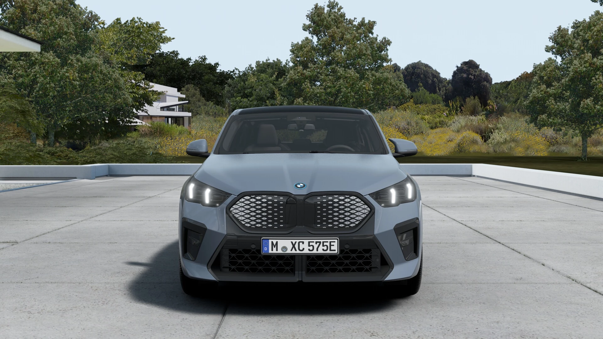 Hoofdafbeelding BMW iX2