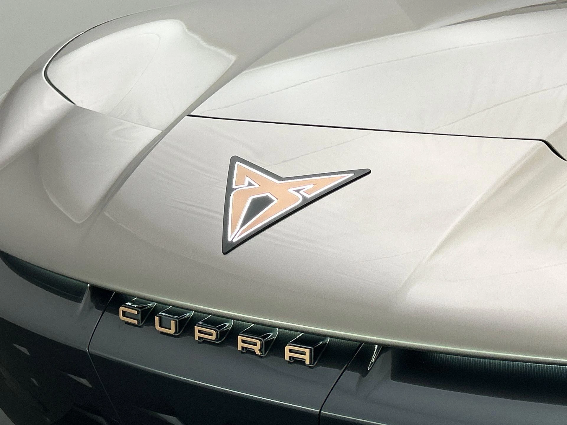 Hoofdafbeelding CUPRA Tavascan