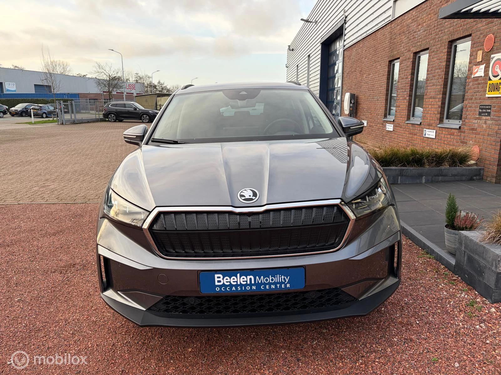 Hoofdafbeelding Škoda Enyaq iV