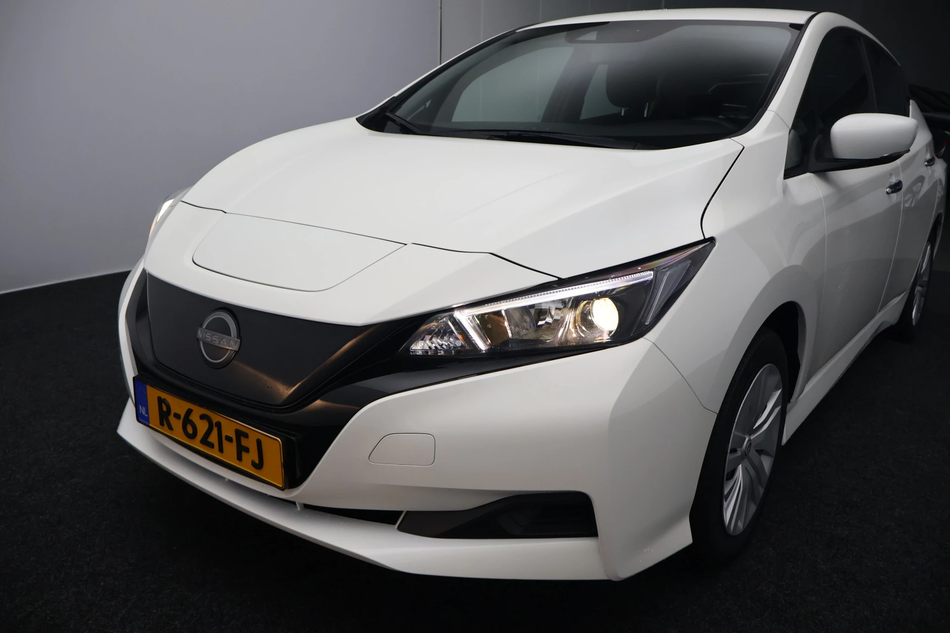 Hoofdafbeelding Nissan Leaf