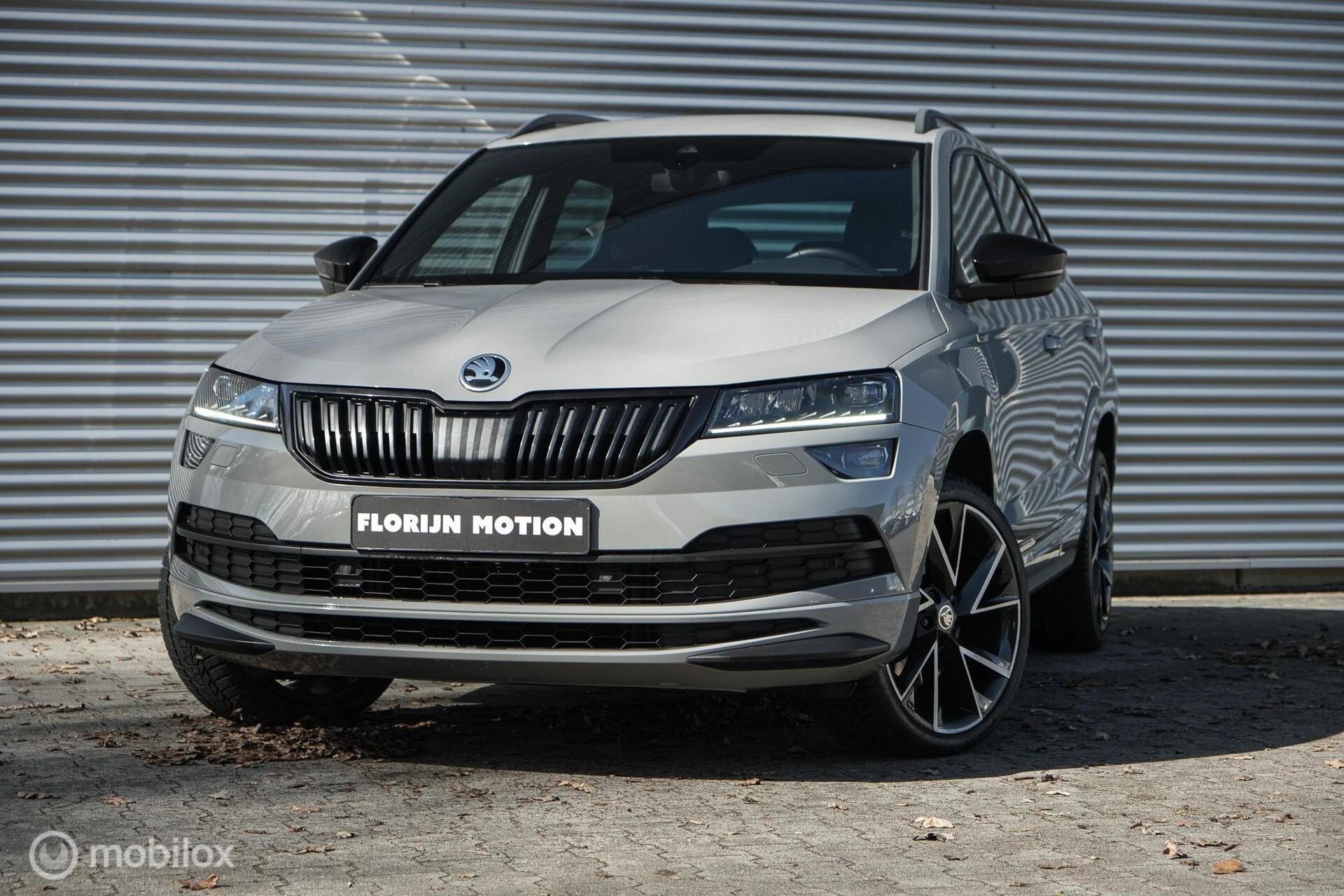 Hoofdafbeelding Škoda Karoq