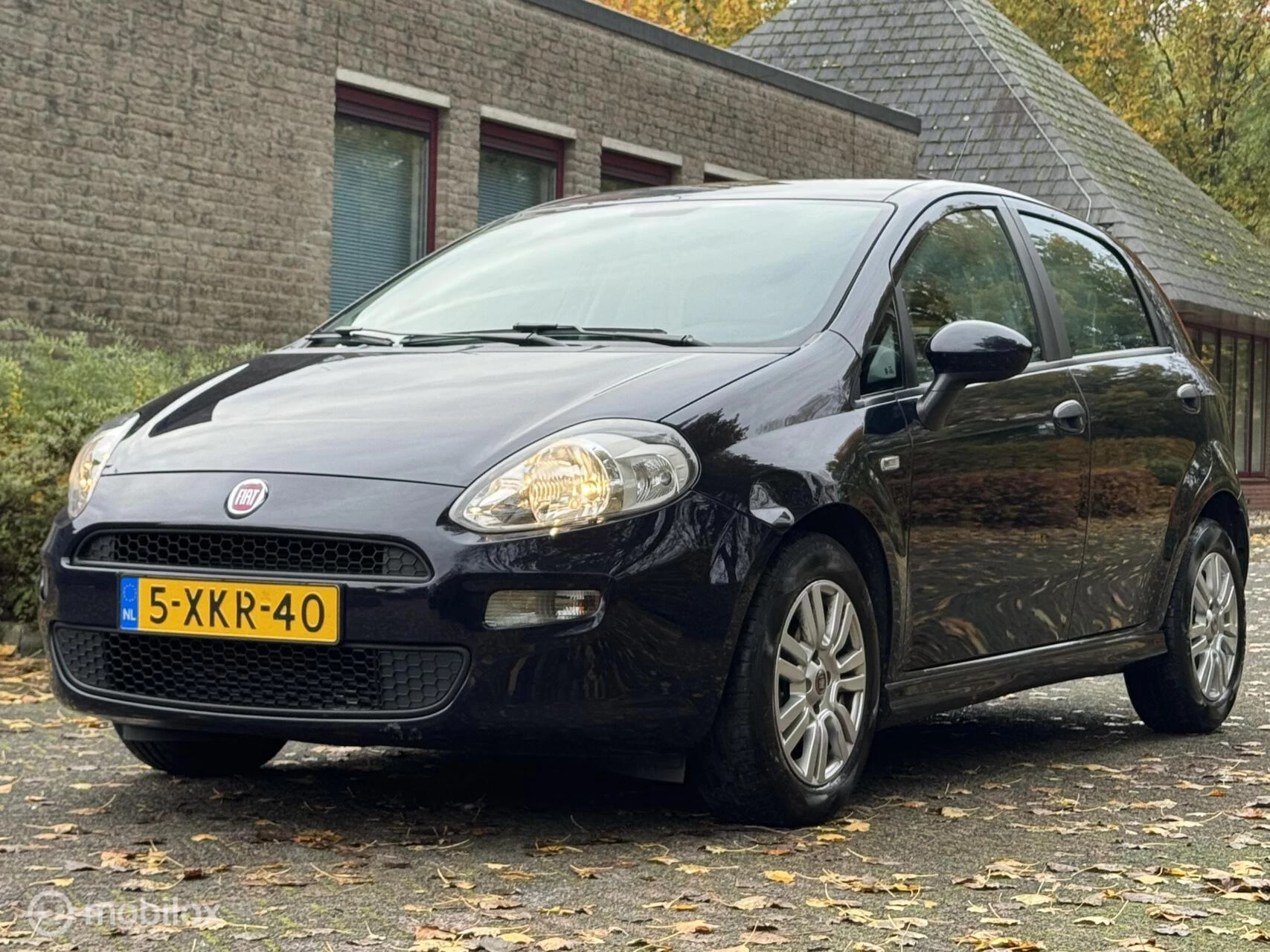 Hoofdafbeelding Fiat Punto