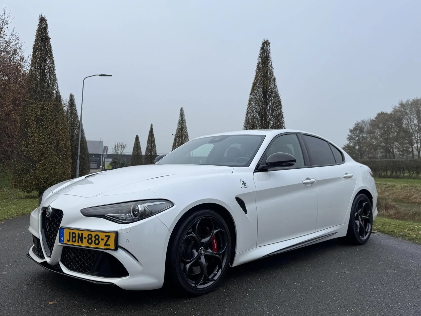 Hoofdafbeelding Alfa Romeo Giulia