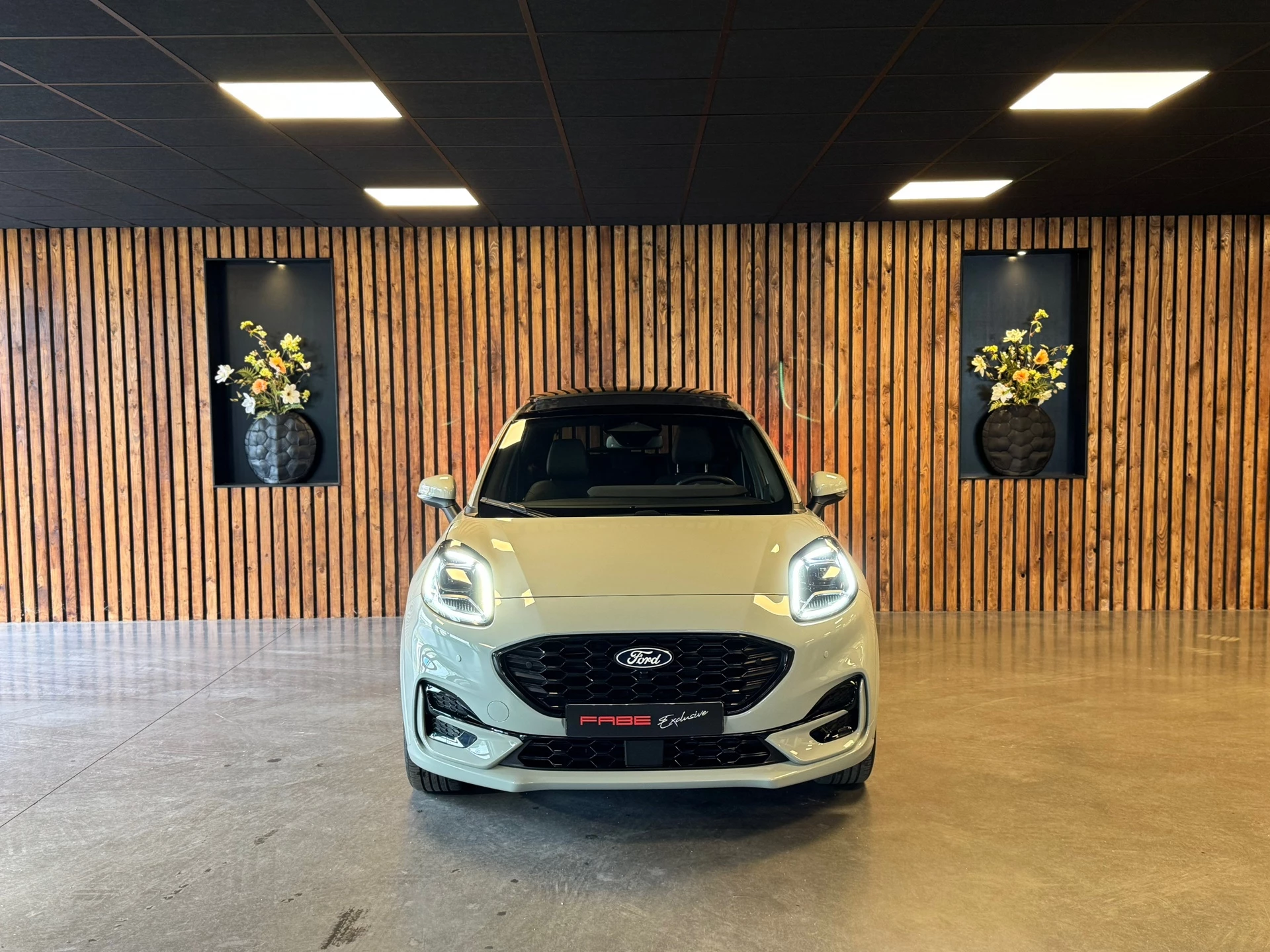 Hoofdafbeelding Ford Puma