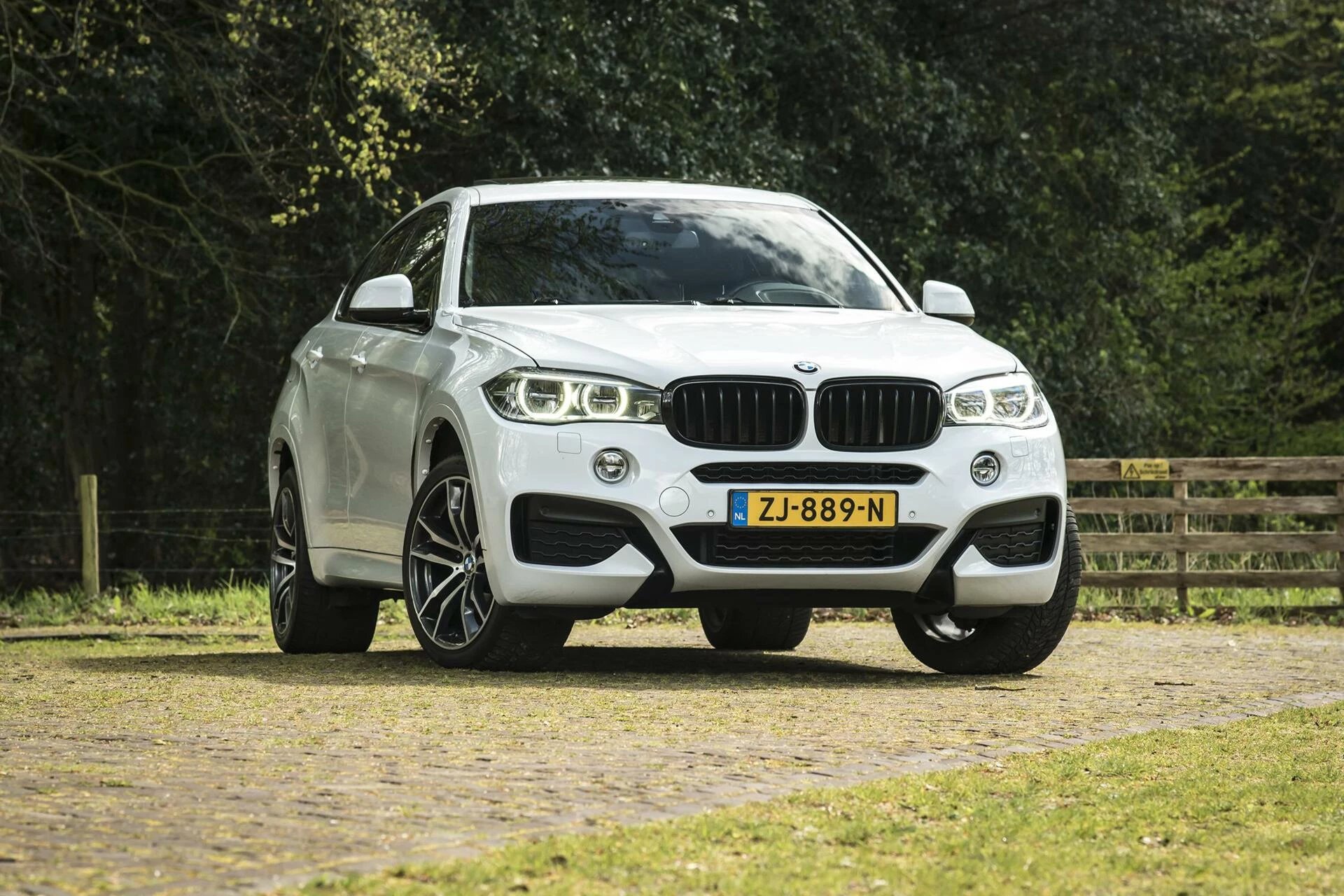 Hoofdafbeelding BMW X6