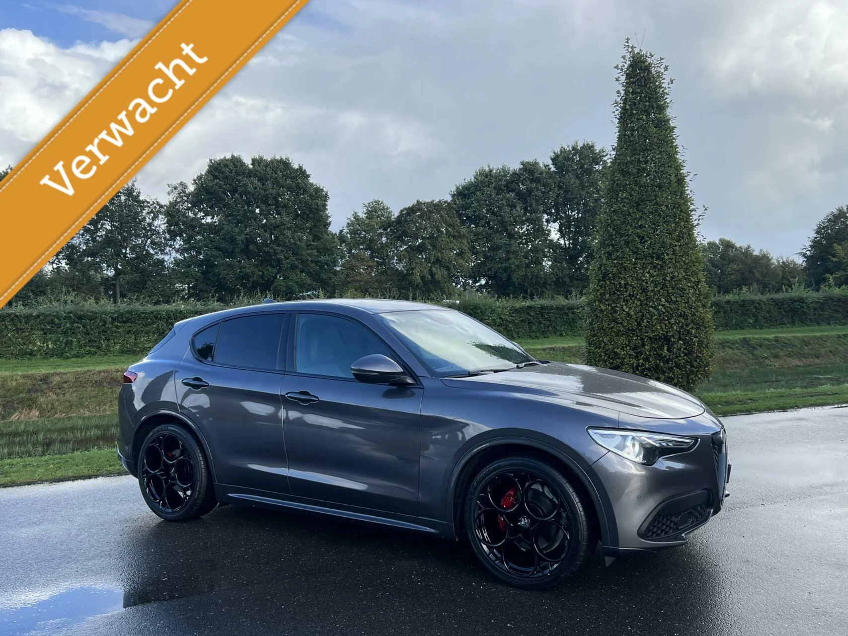 Hoofdafbeelding Alfa Romeo Stelvio