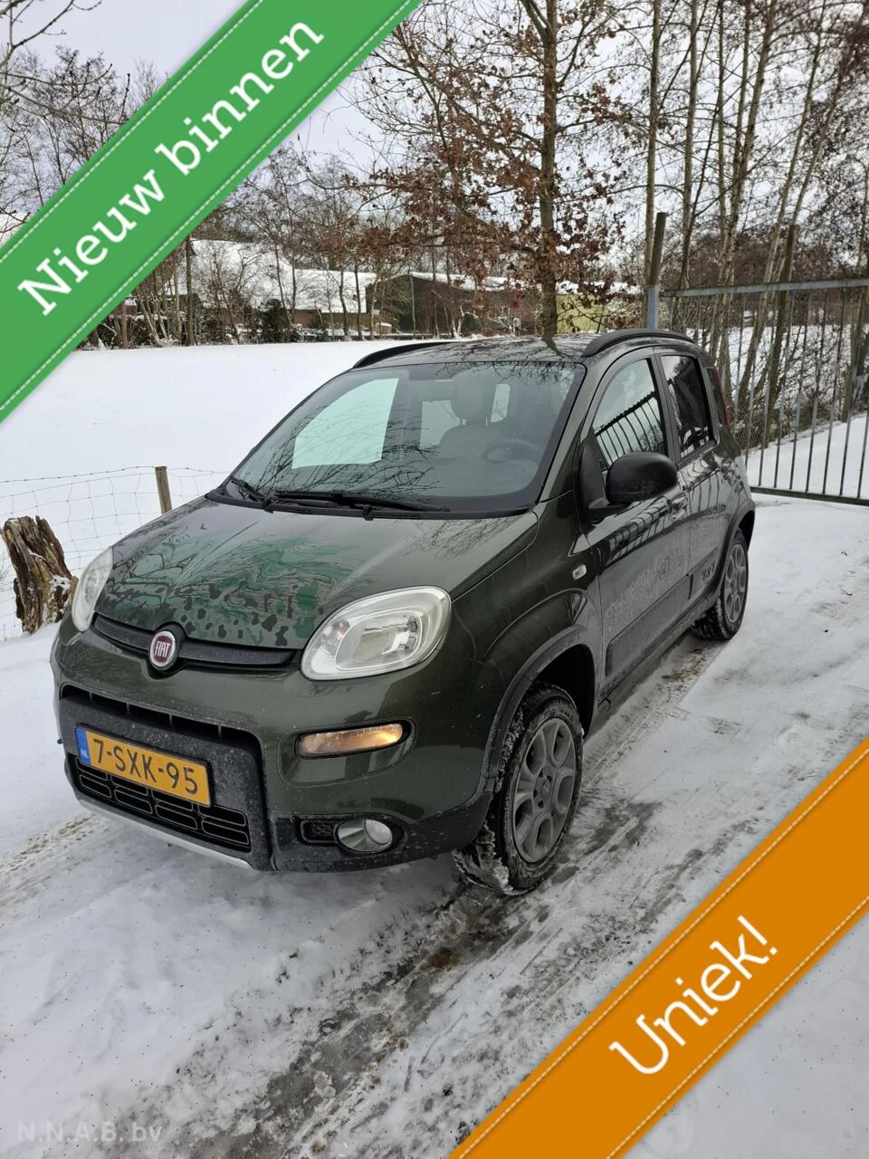 Hoofdafbeelding Fiat Panda
