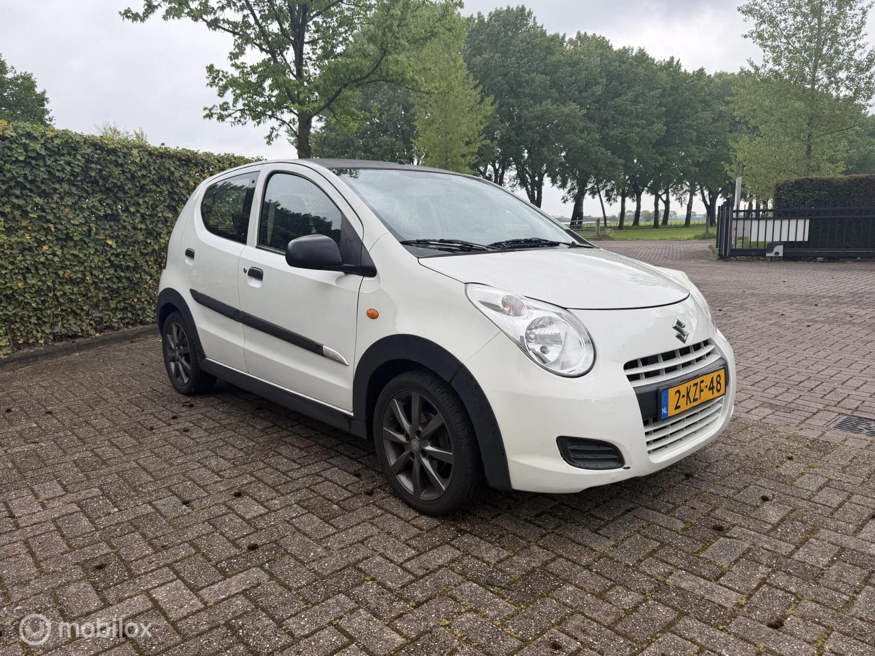 Hoofdafbeelding Suzuki Alto