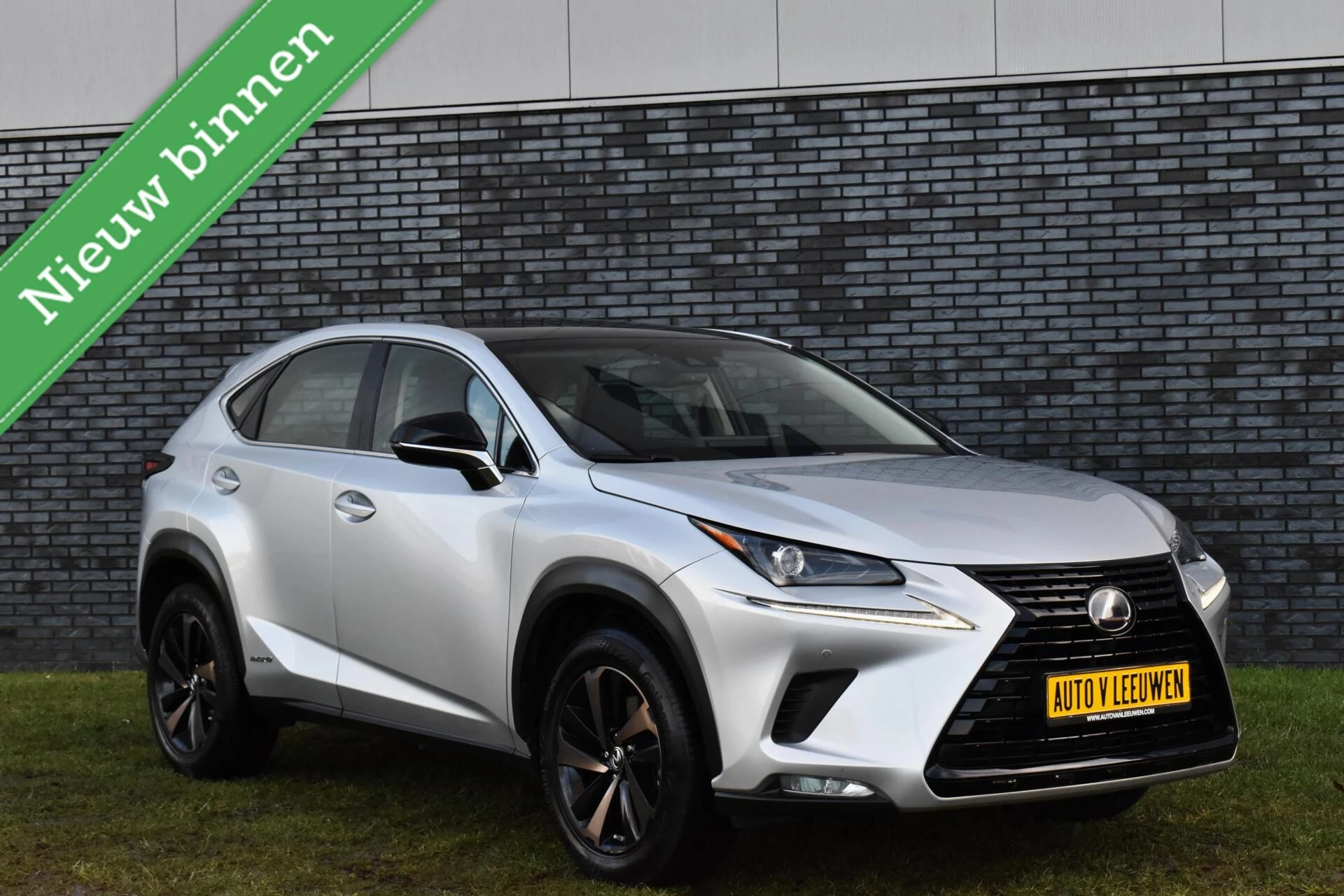 Hoofdafbeelding Lexus NX