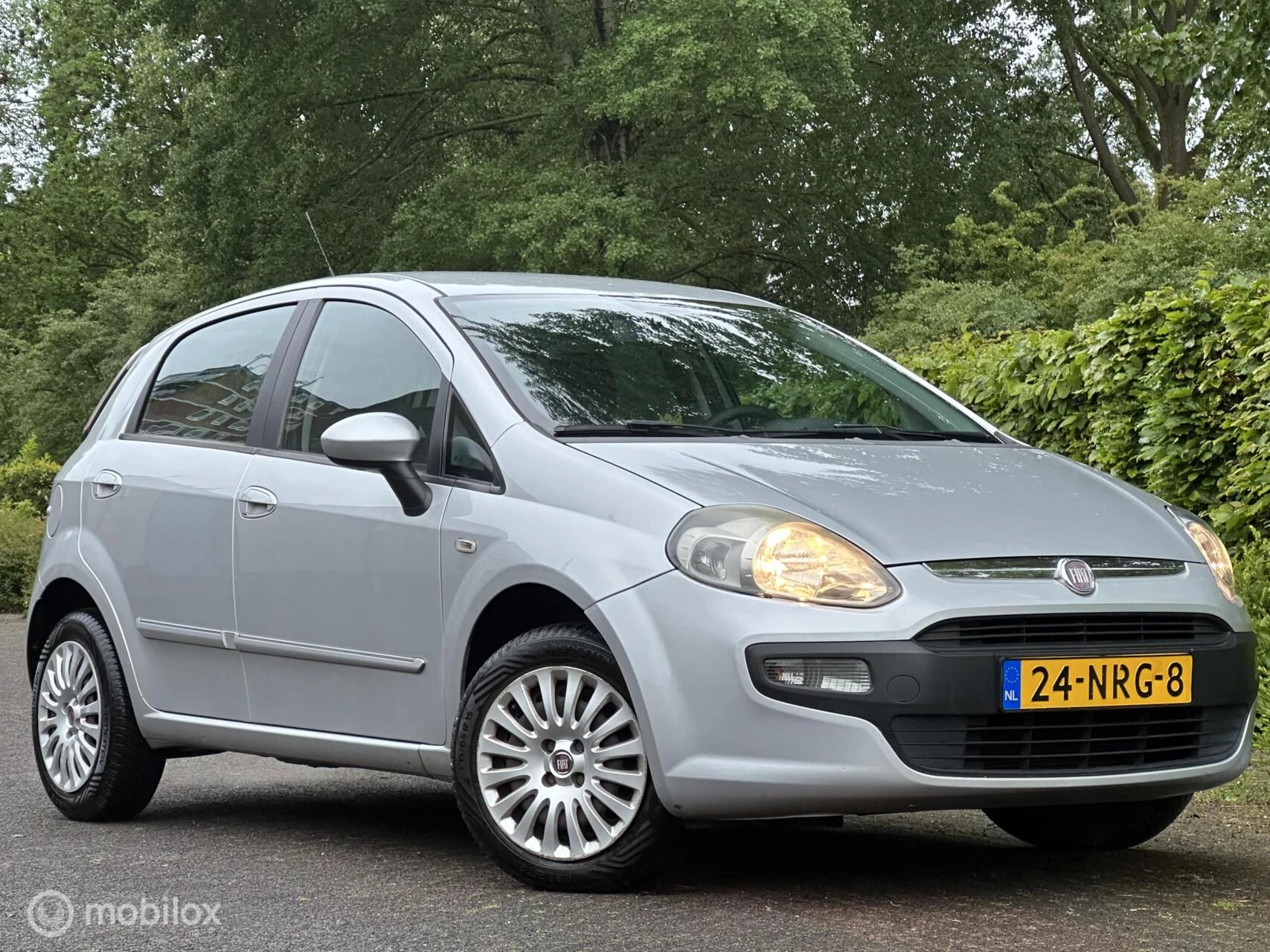Hoofdafbeelding Fiat Punto