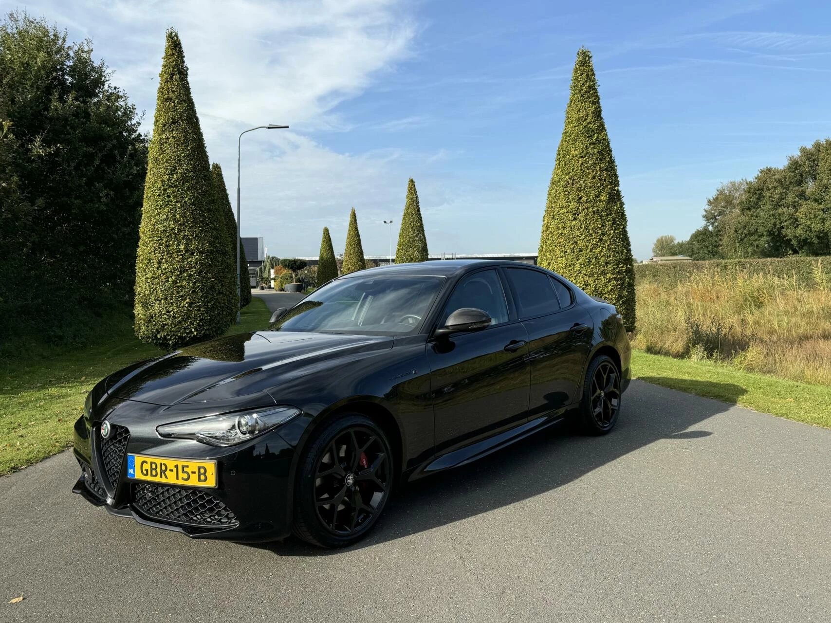 Hoofdafbeelding Alfa Romeo Giulia