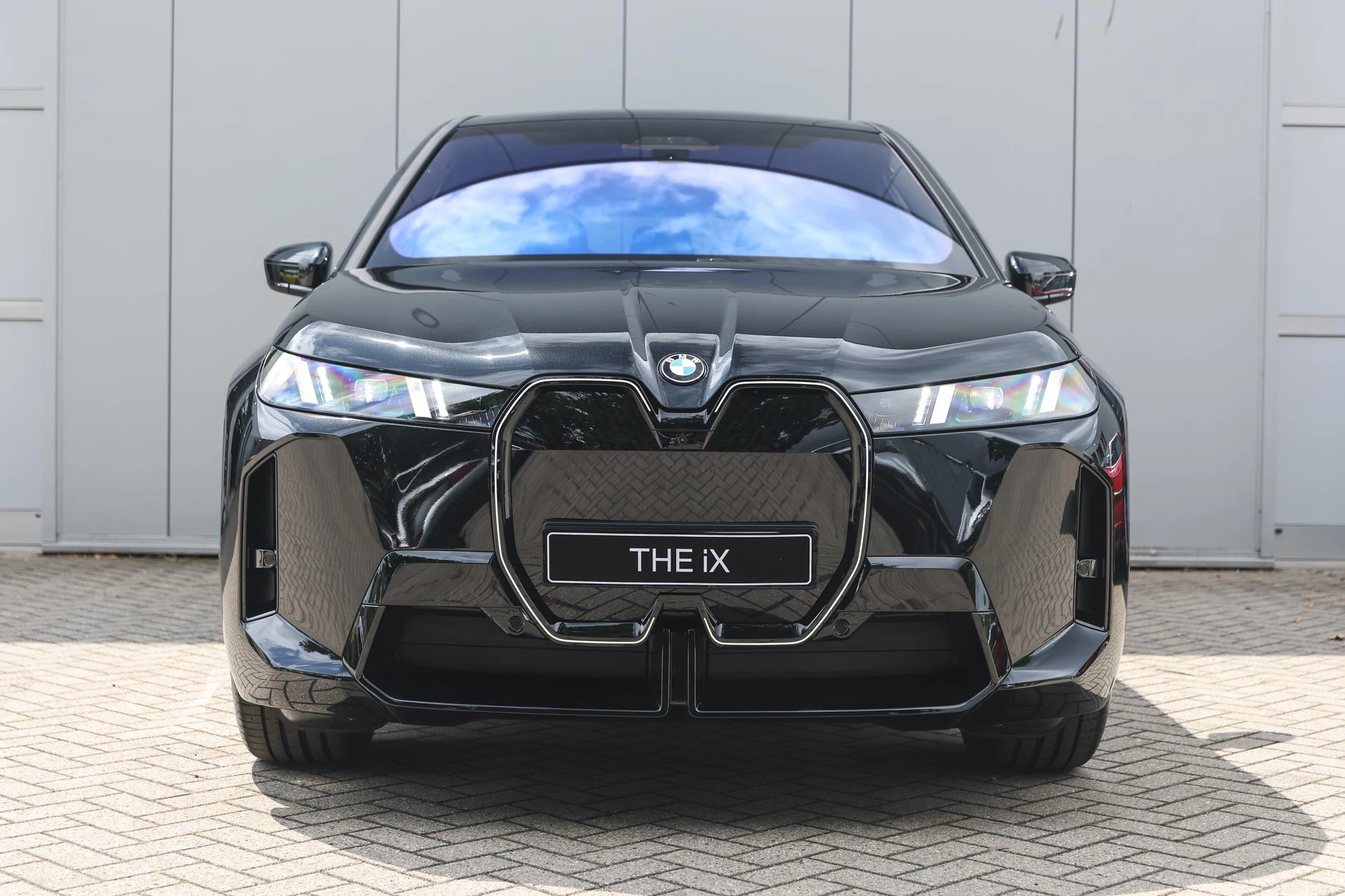 Hoofdafbeelding BMW iX