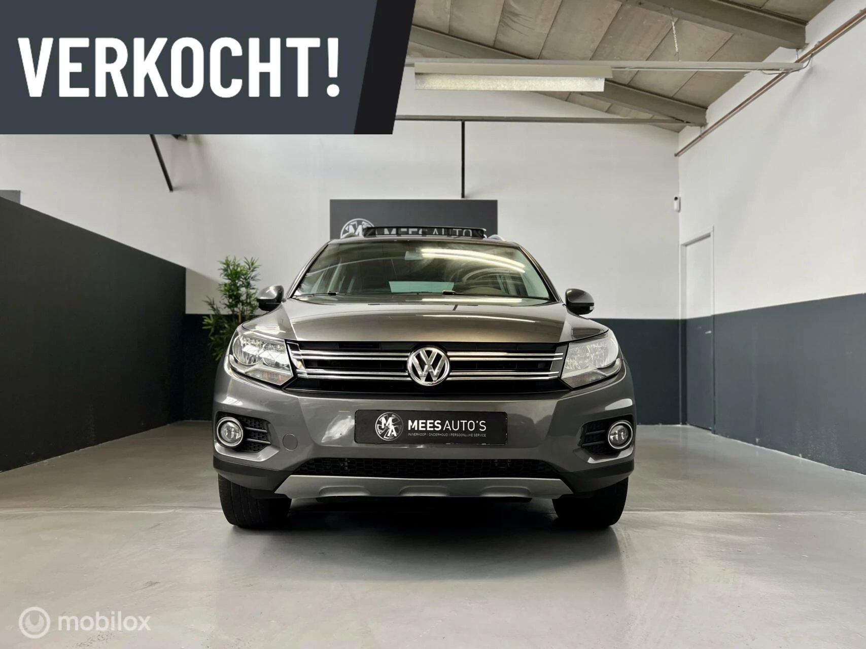 Hoofdafbeelding Volkswagen Tiguan