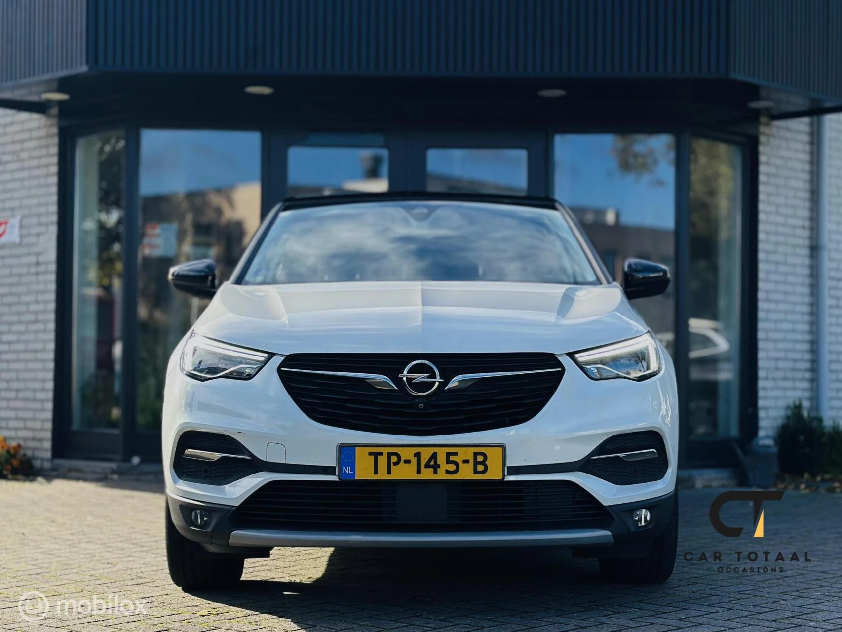 Hoofdafbeelding Opel Grandland X