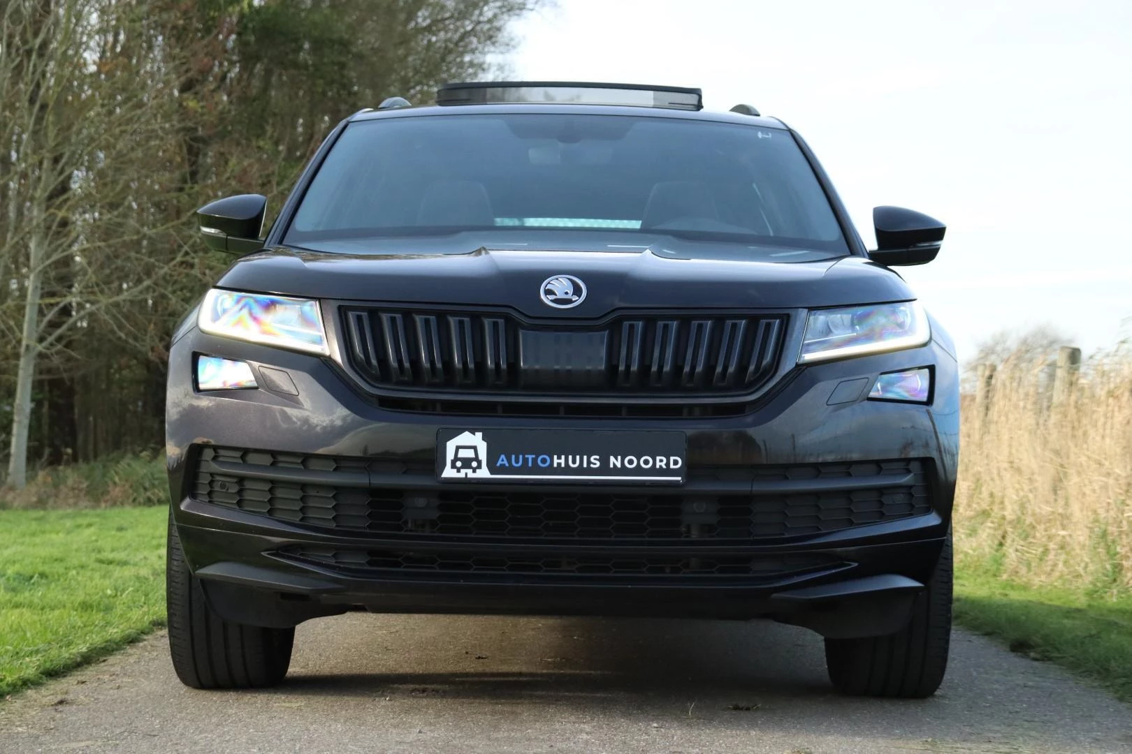 Hoofdafbeelding Škoda Kodiaq