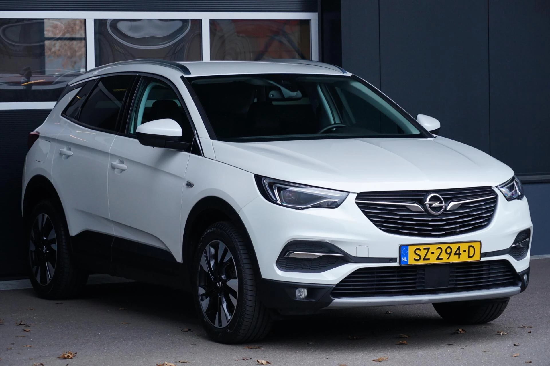 Hoofdafbeelding Opel Grandland X