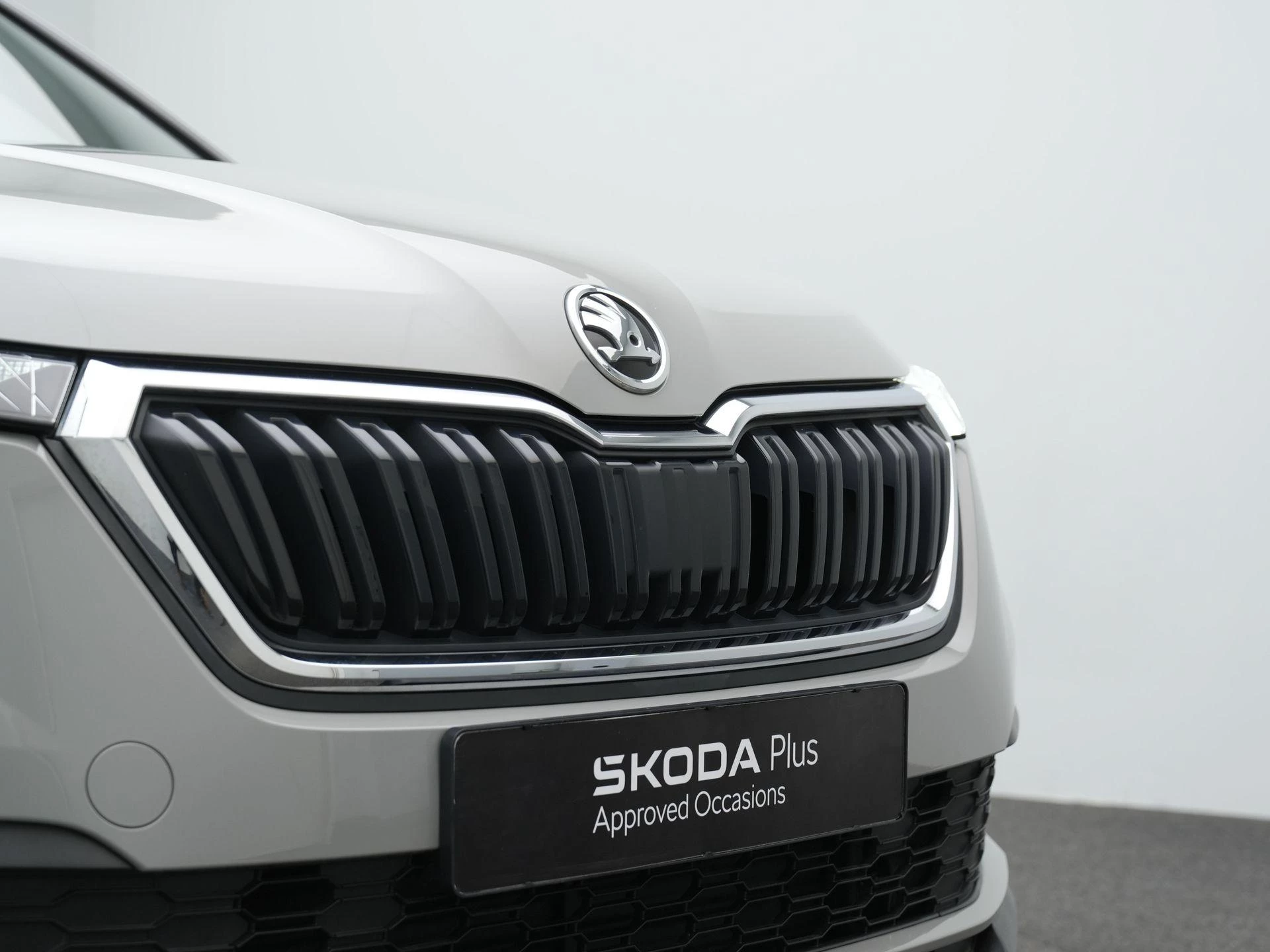 Hoofdafbeelding Škoda Kamiq