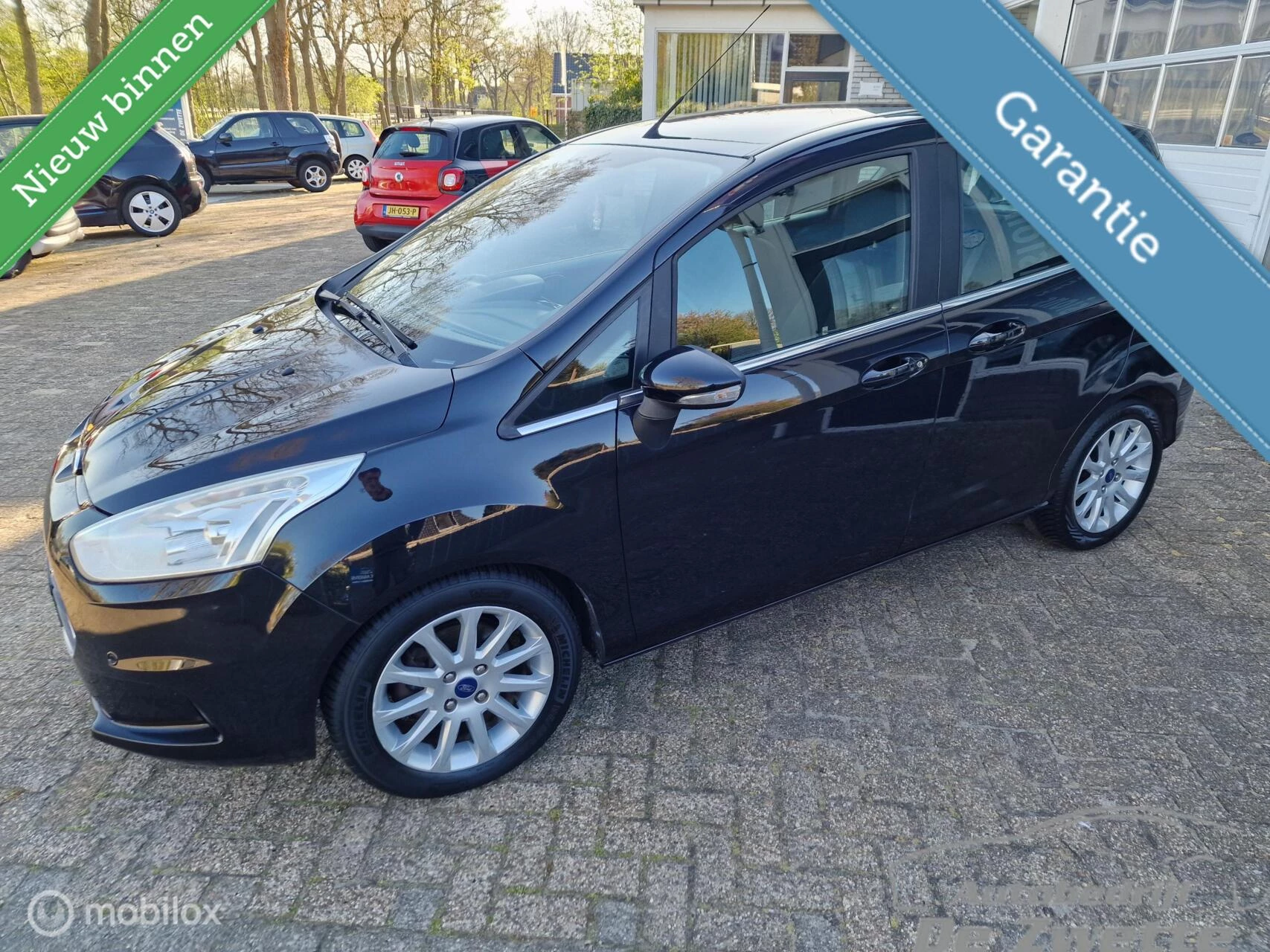 Hoofdafbeelding Ford B-MAX