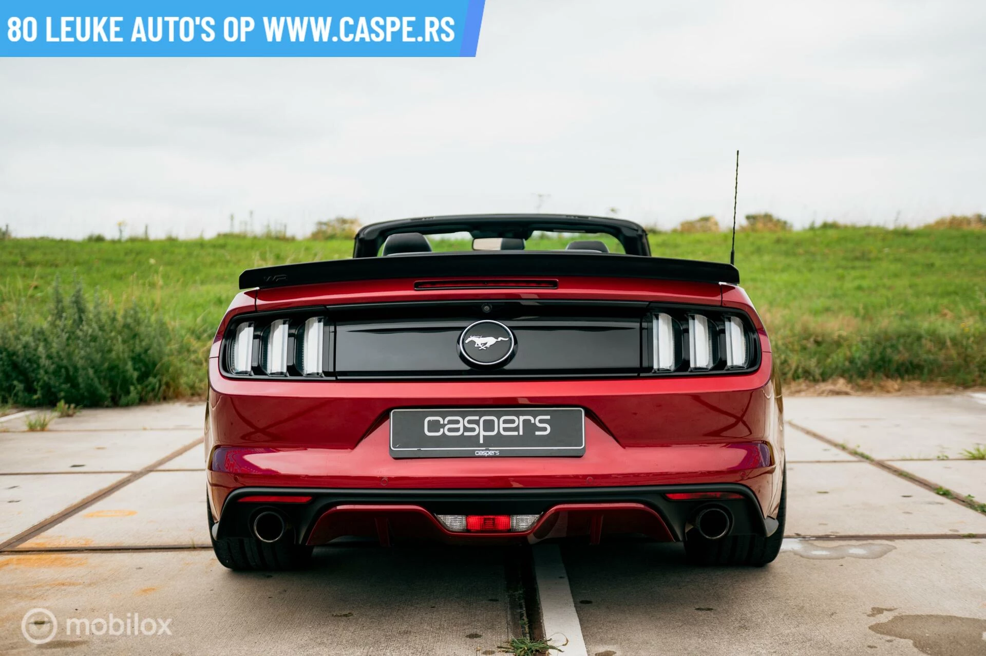 Hoofdafbeelding Ford Mustang